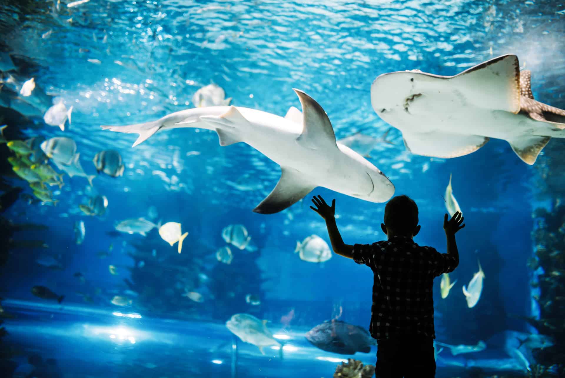 aquarium munich