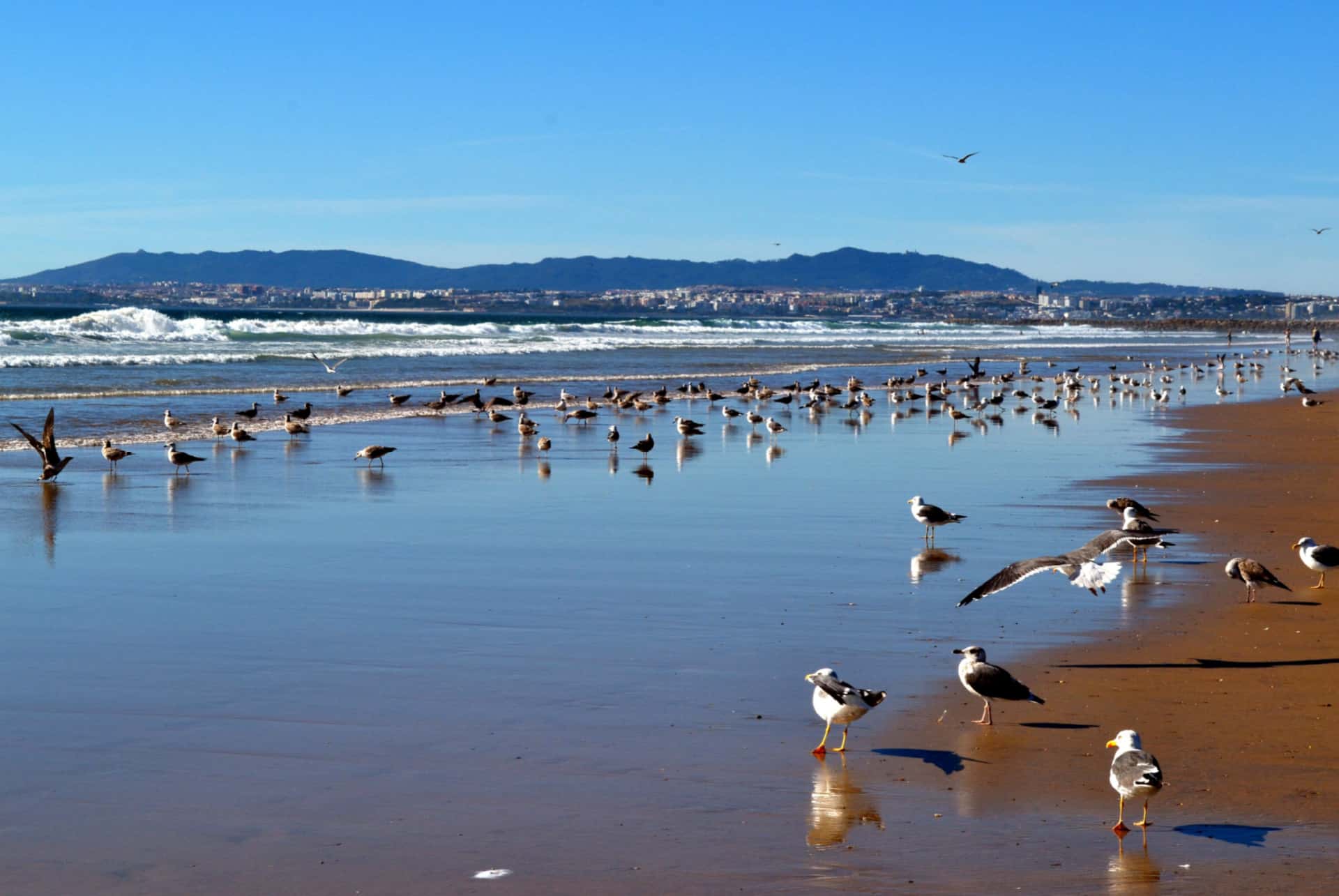 costa da caparica