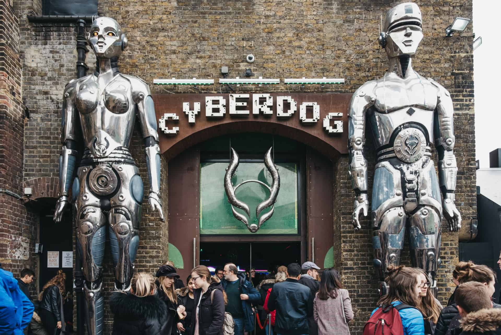 cyberdog camden