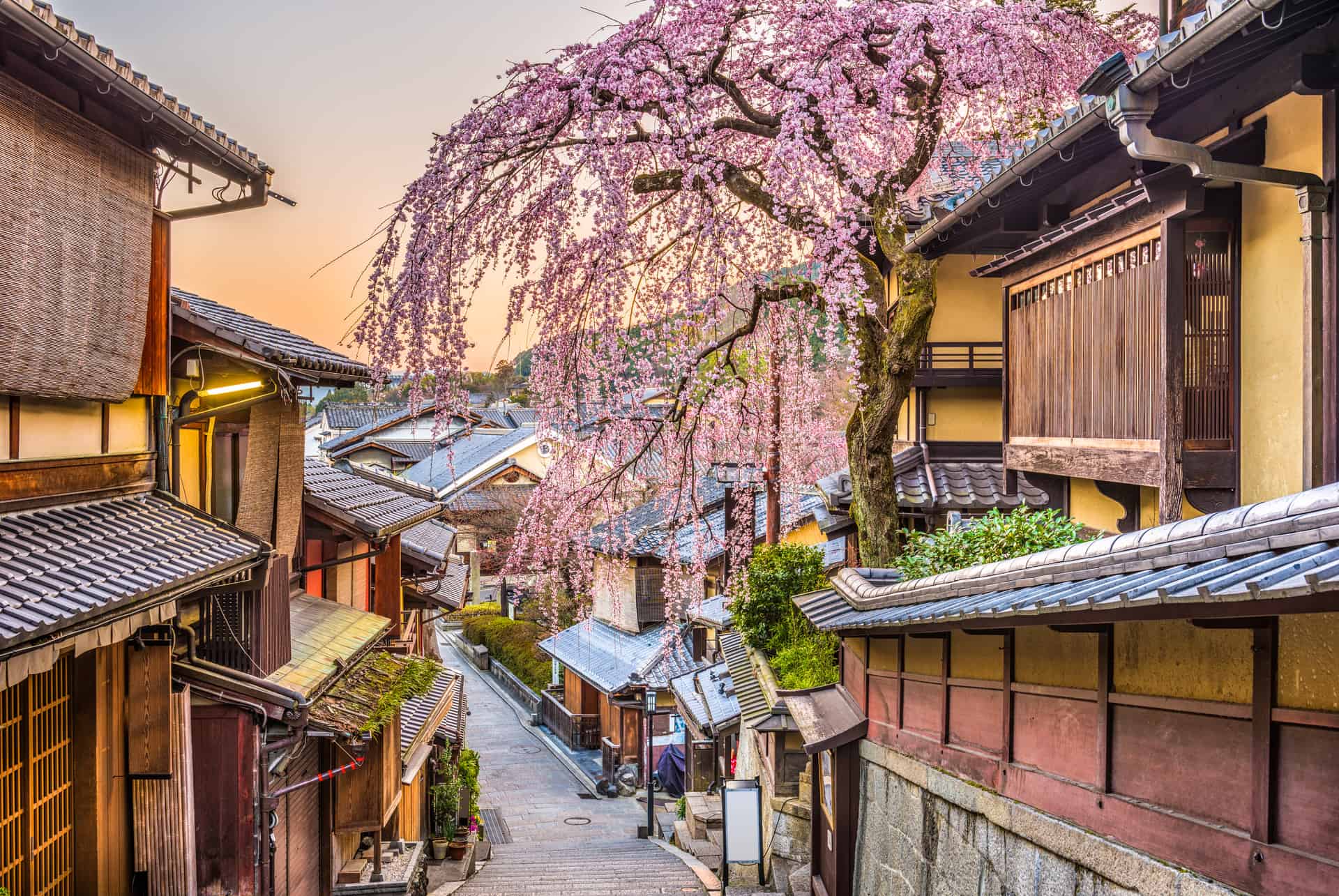 kyoto higashiyama