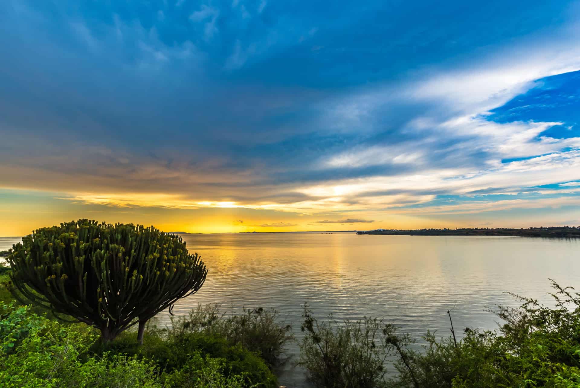 lac victoria plus grands lacs du monde