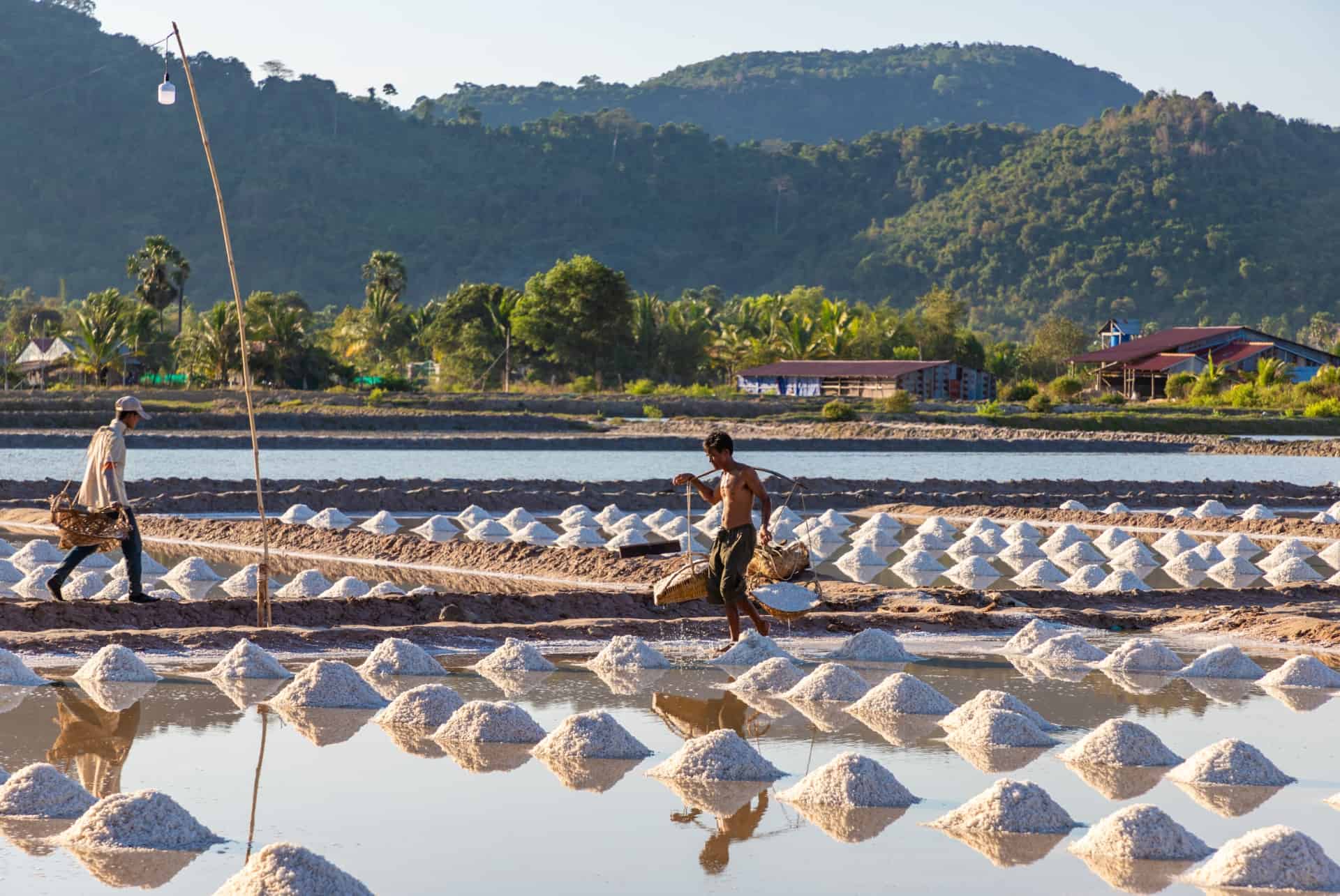 marais salant kep que faire cambodge