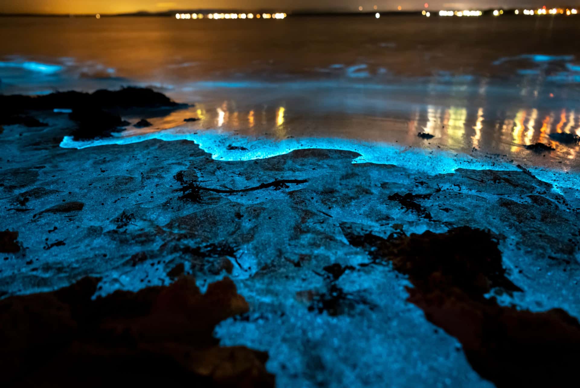 plage bioluminescente maldives