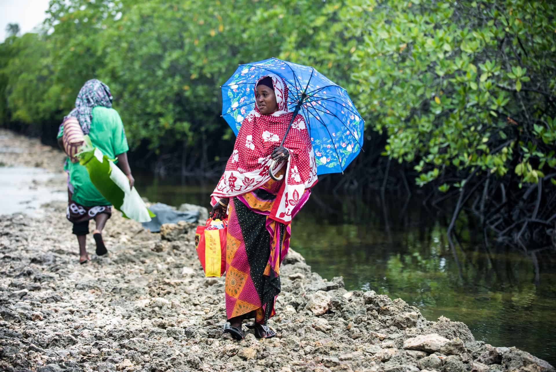 quand partir a zanzibar pluies