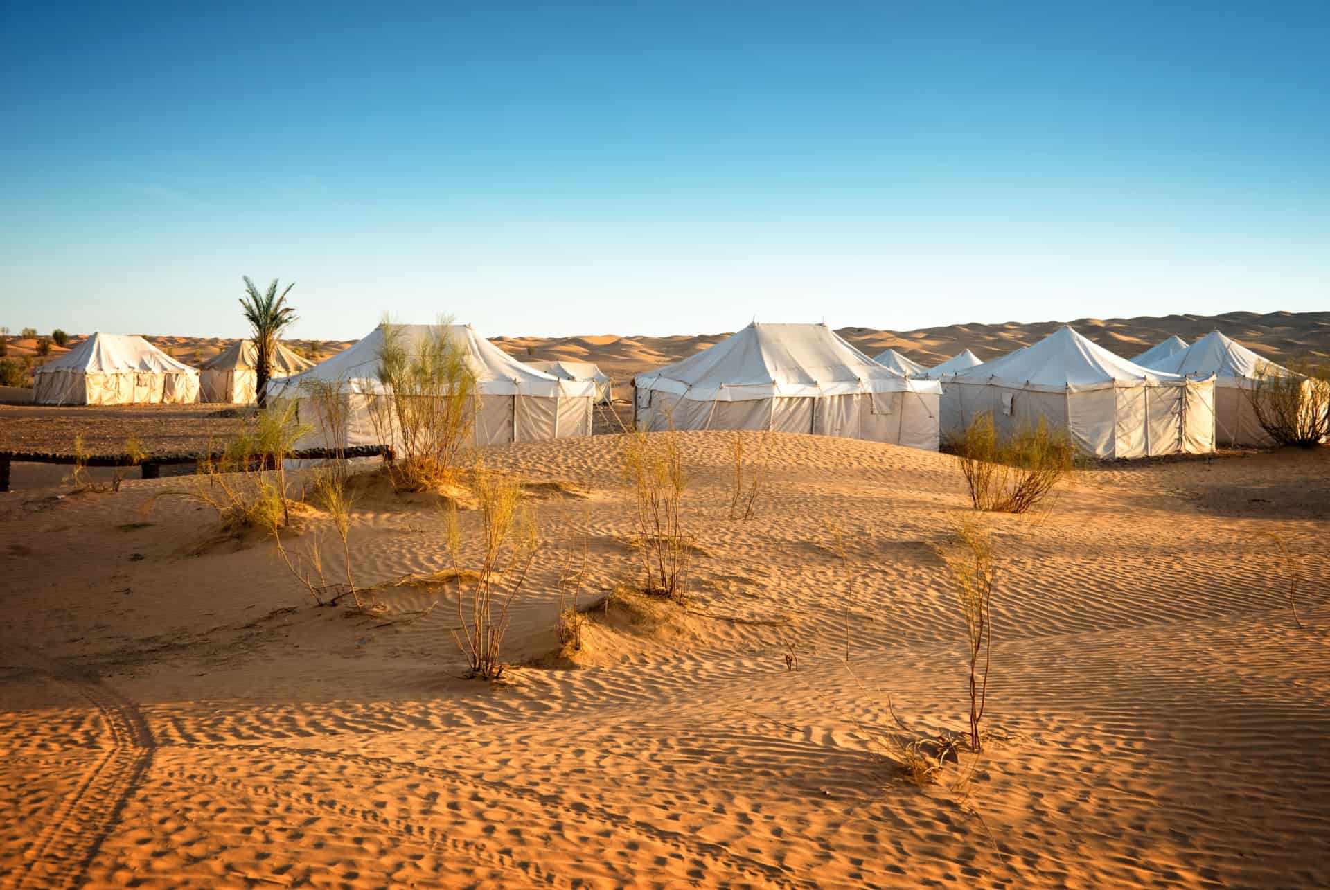 quand partir tunisie desert