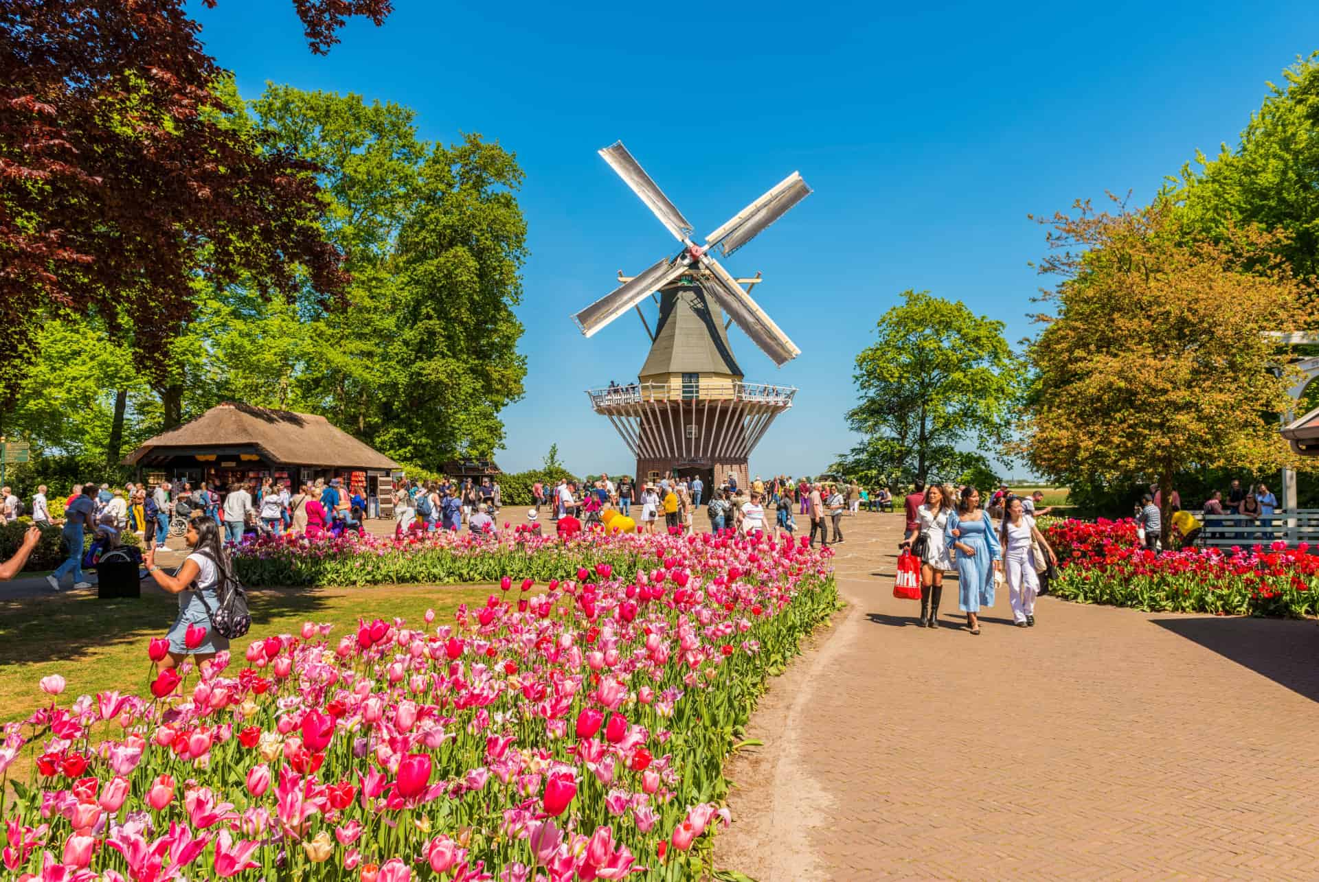 quand visiter keukenhof