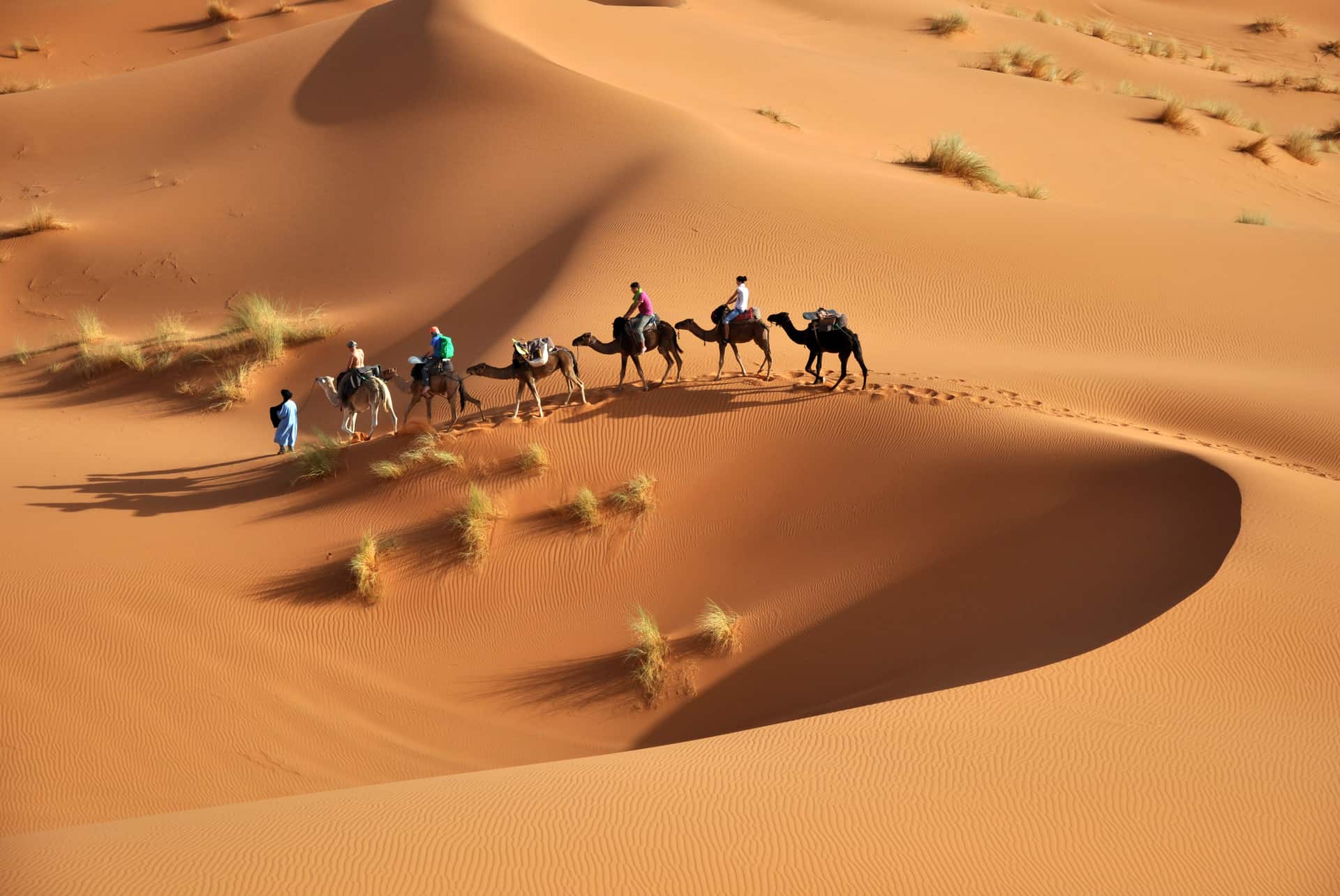 quand partir au maroc desert
