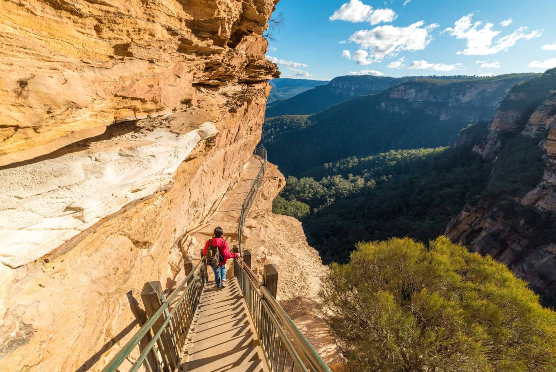 rando blue mountains