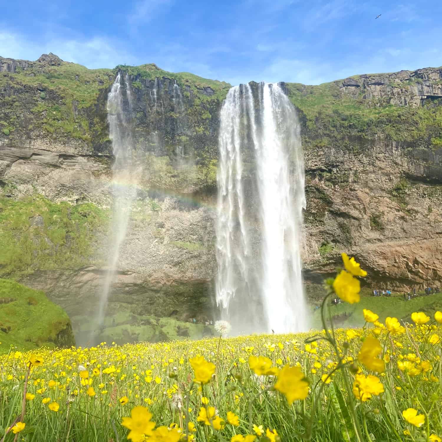 seljalandsfoss en ete