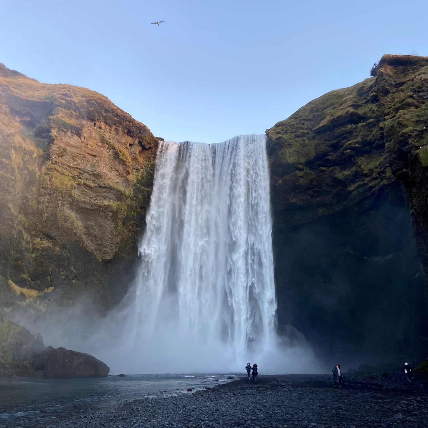 skogafoss en automne