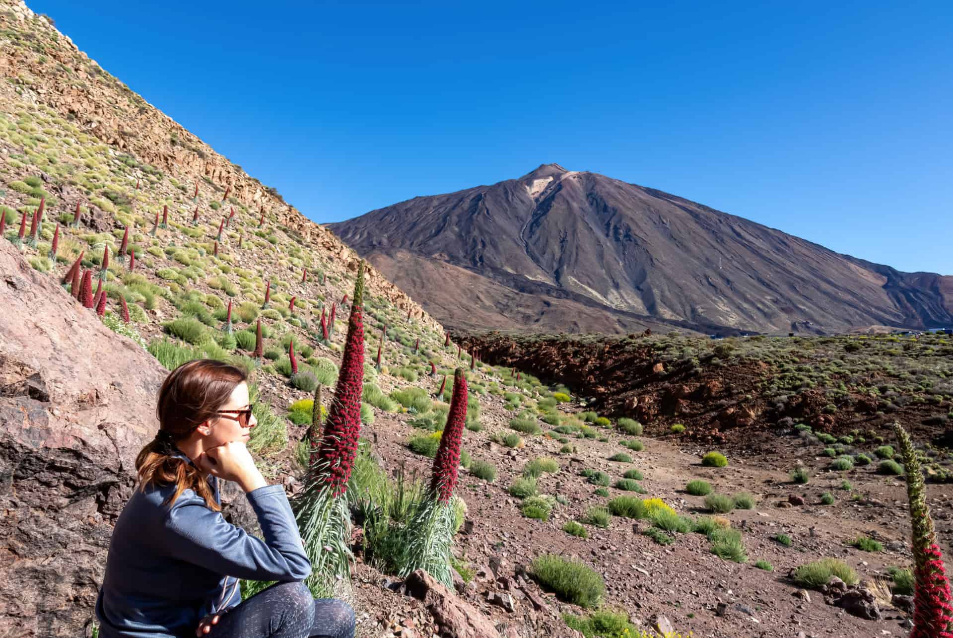 touriste a tenerife