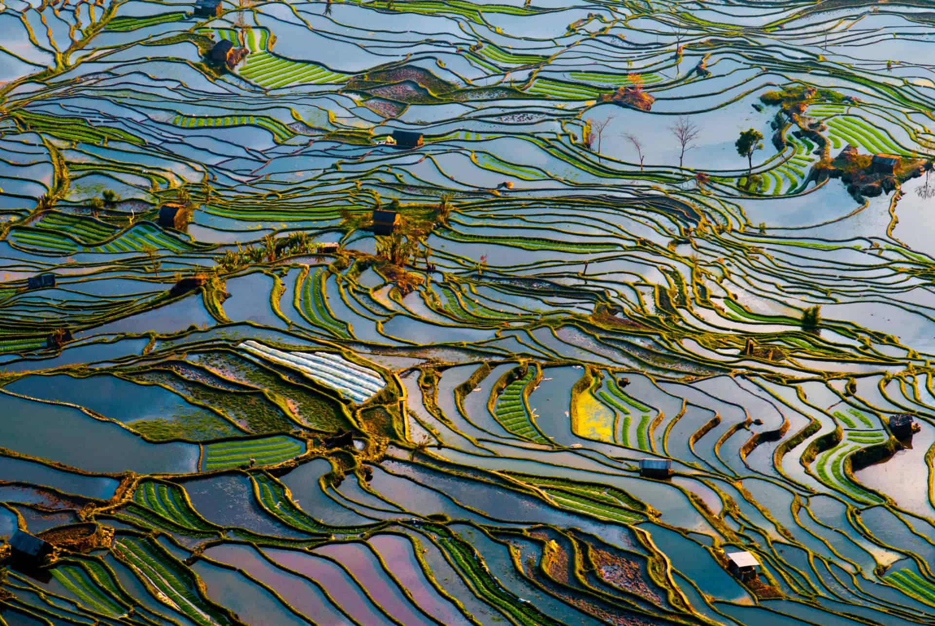 yuanyang rizieres terrasse