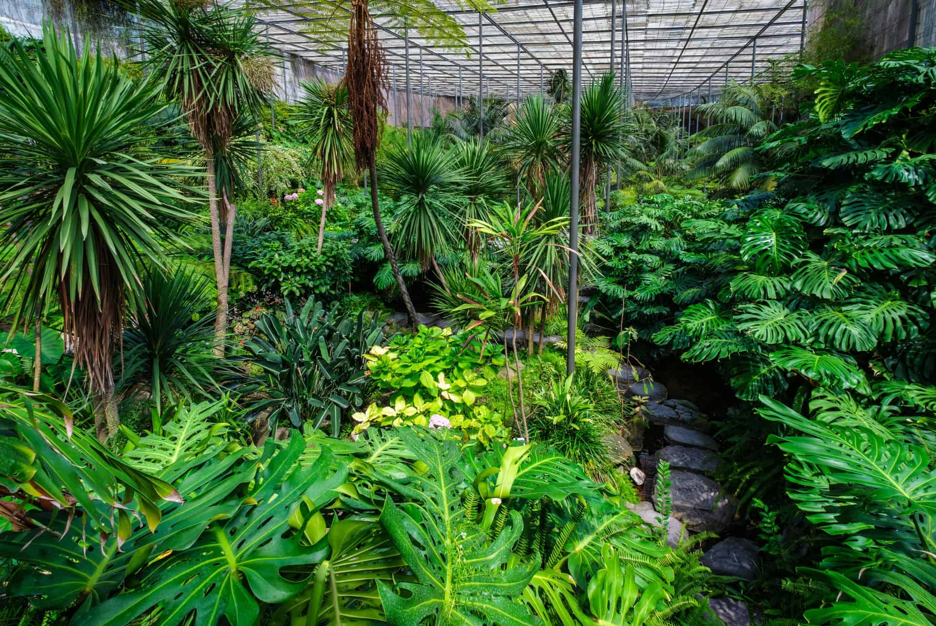 jardin botanique visiter lisbonne 4 jours