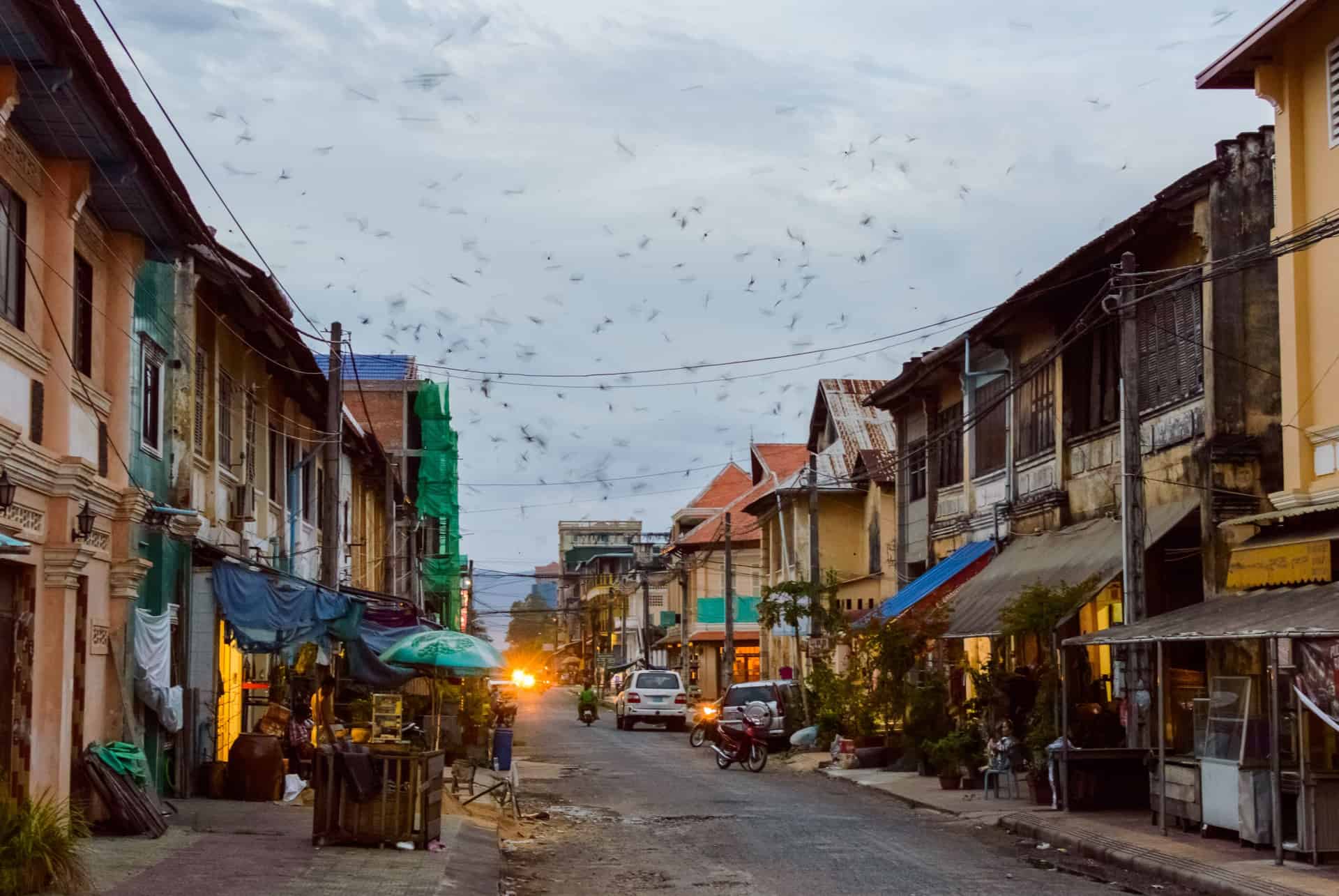 kampot cambodge