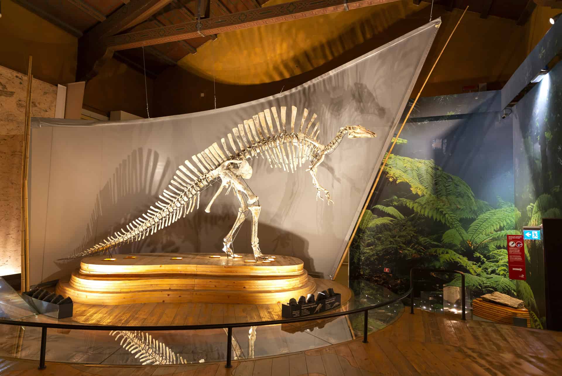 musee histoire naturelle visiter venise en 3 jours