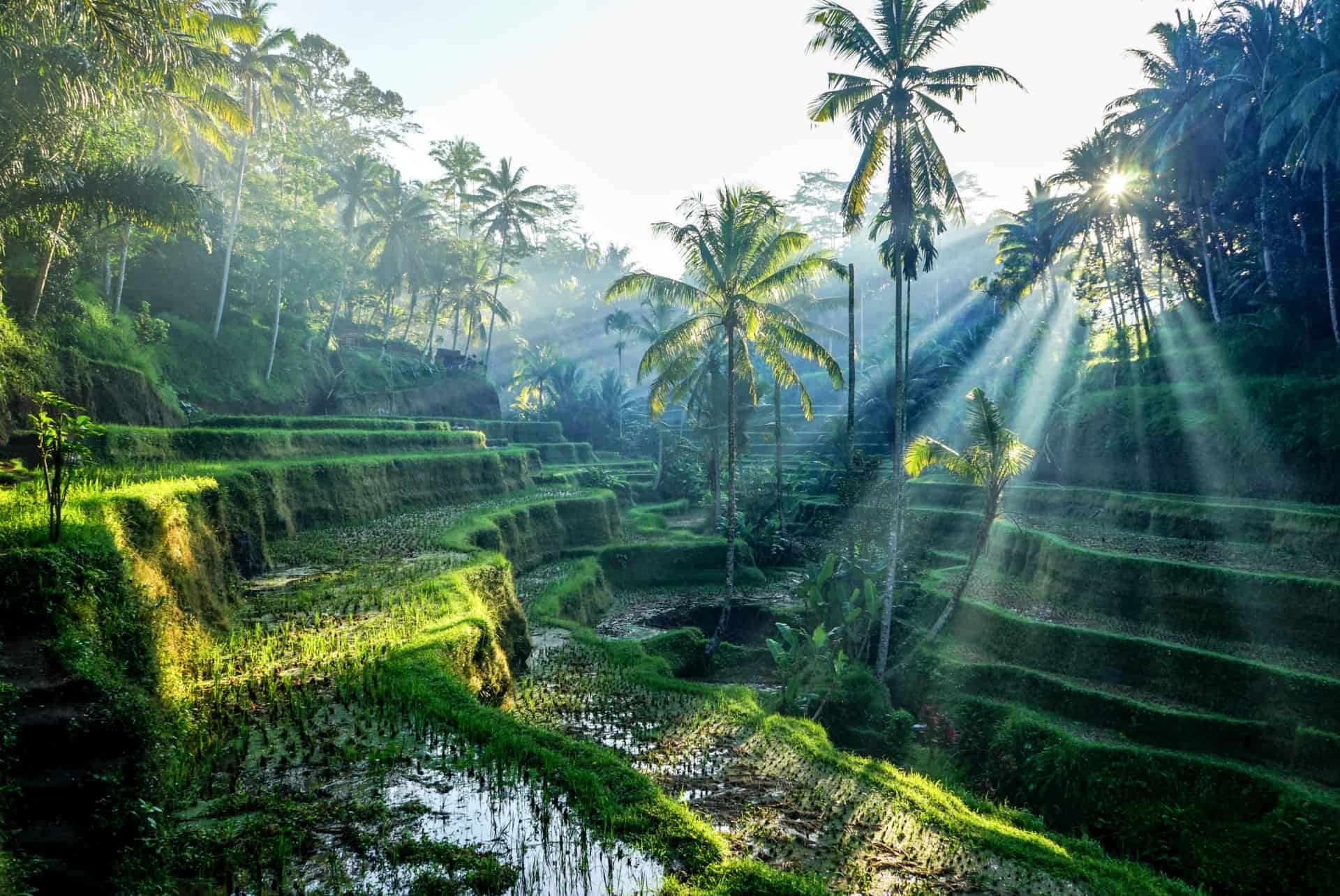 bali en septembre climat