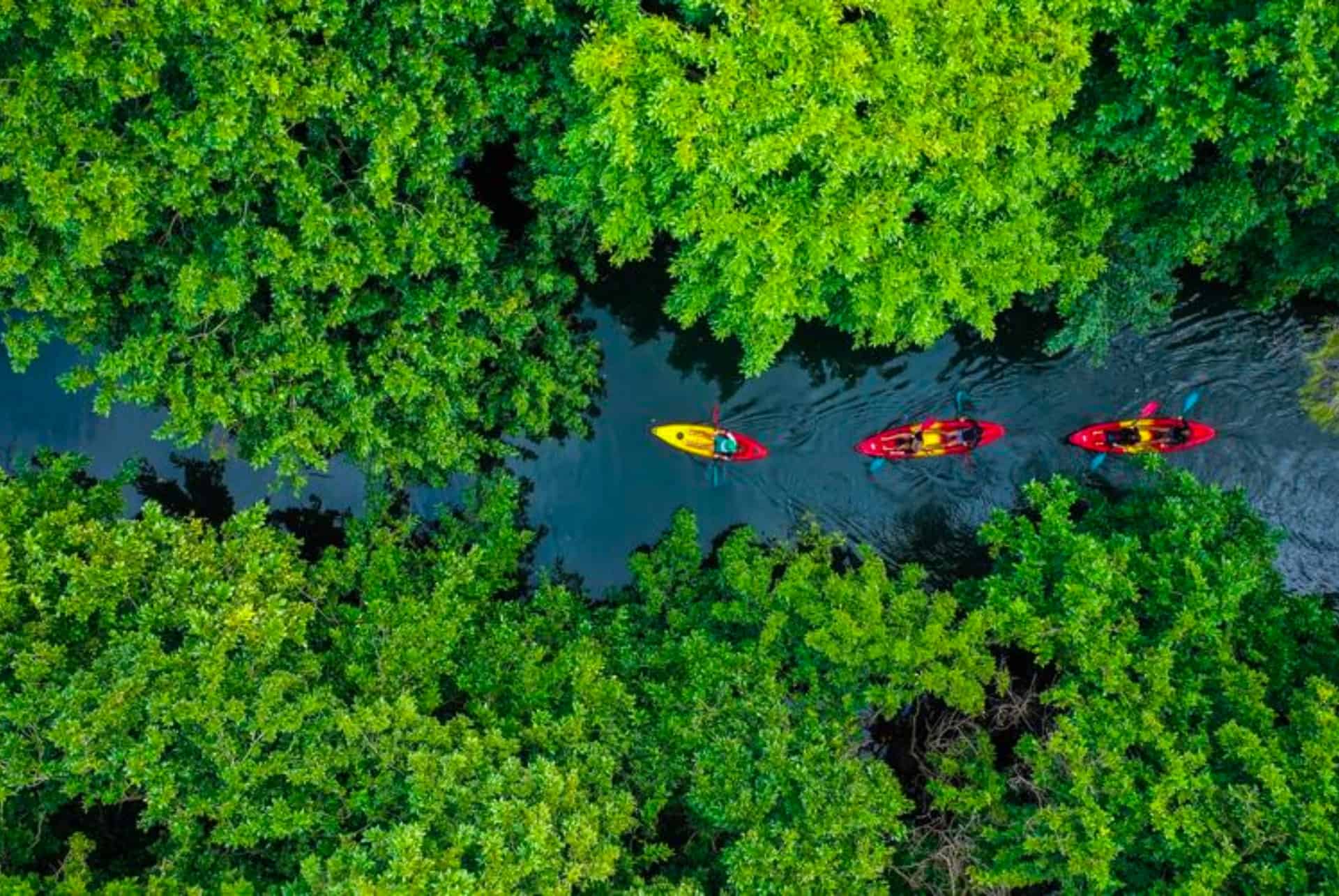 canoe kayak