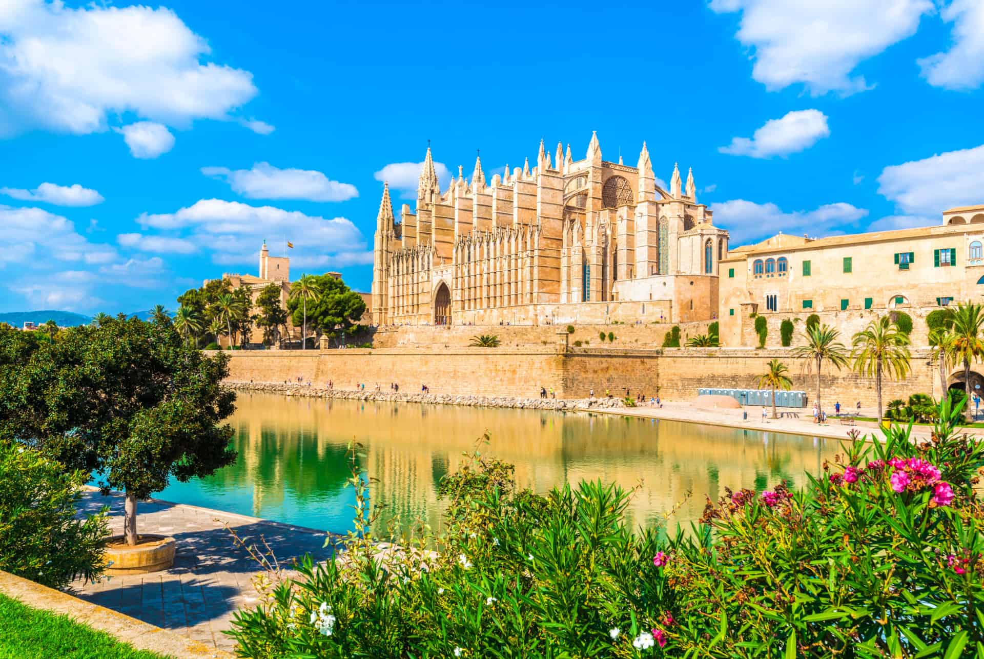 cathedrale de palma