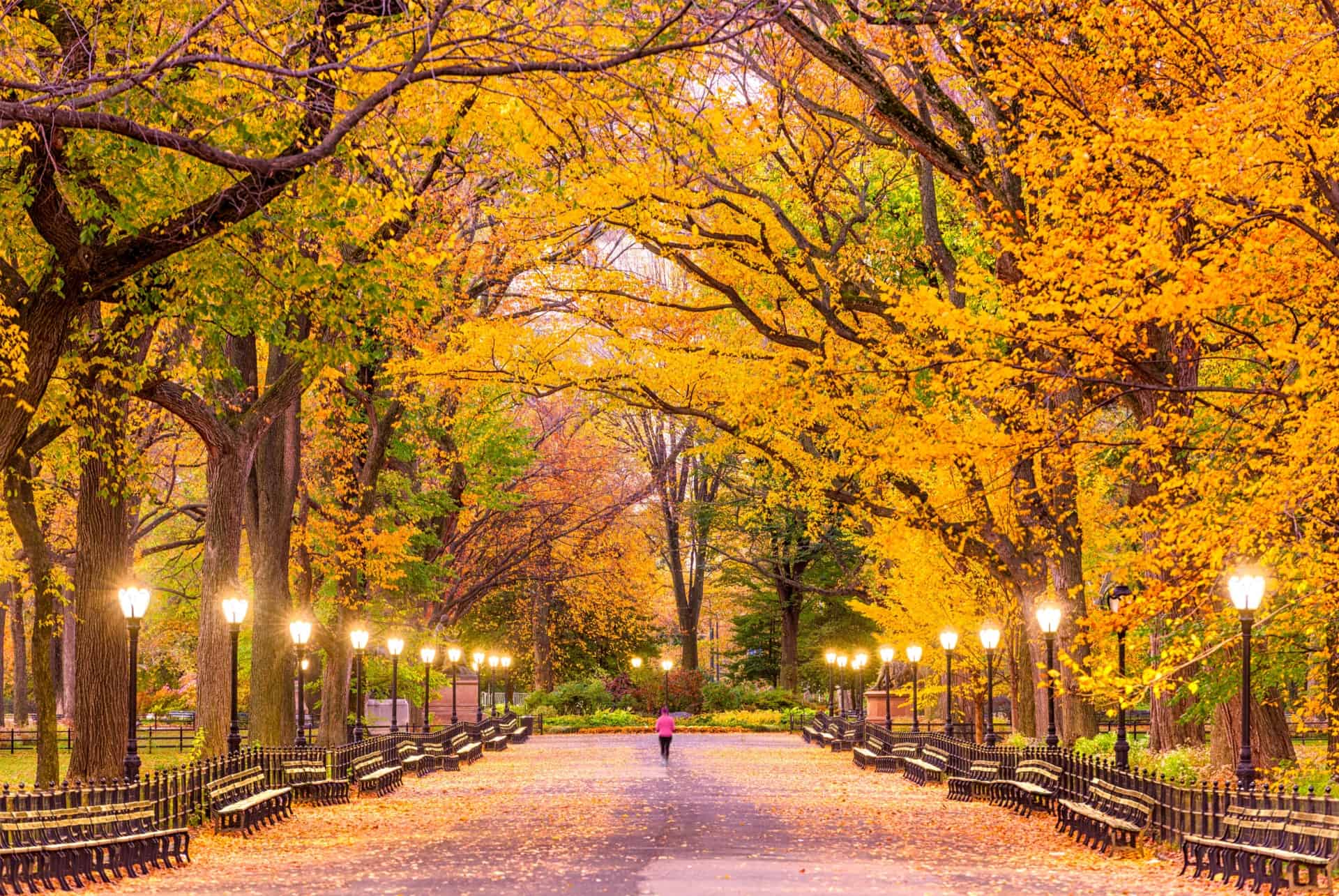 central park automne