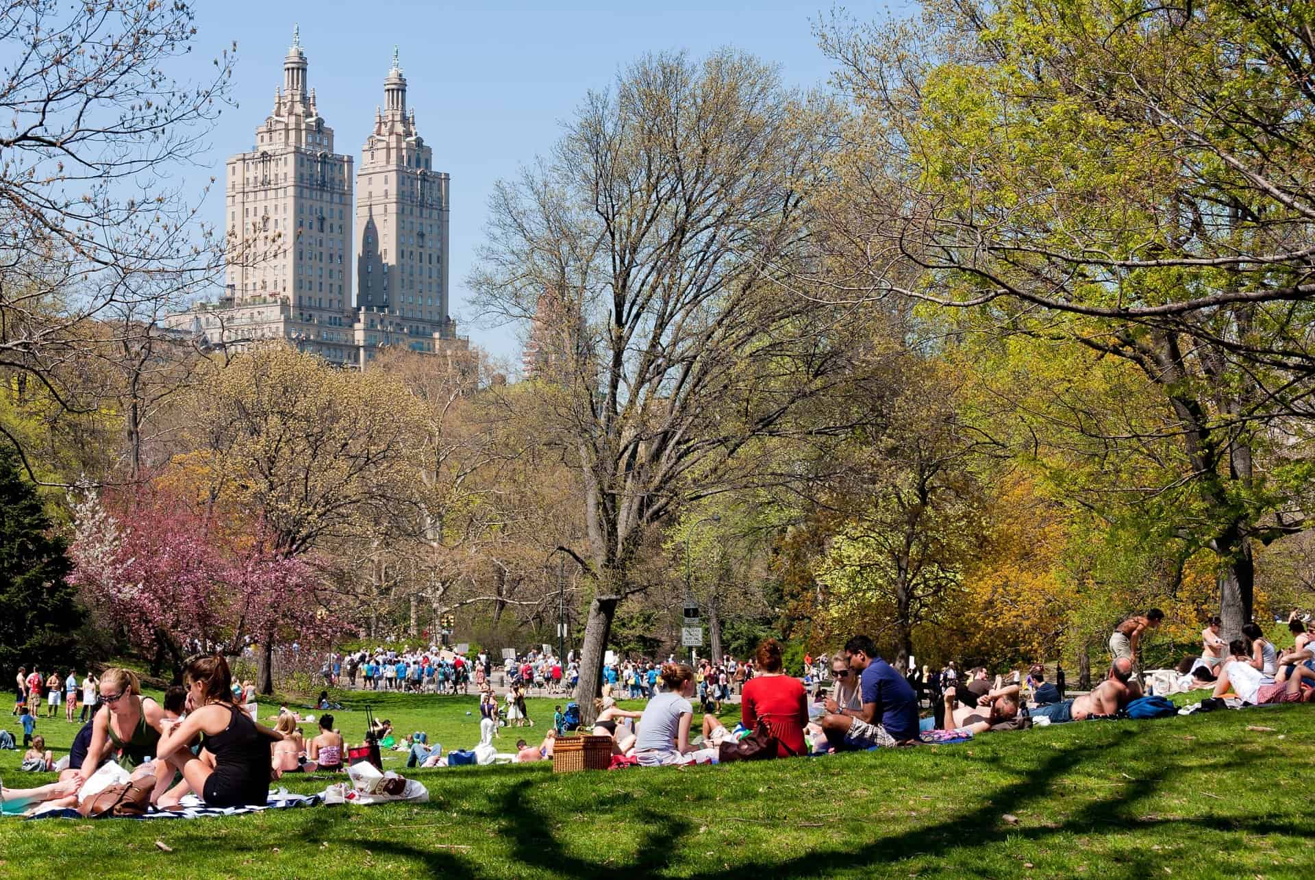 central park en ete