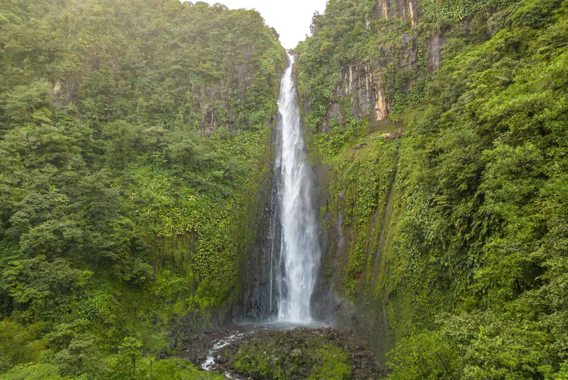 chutes du carbet