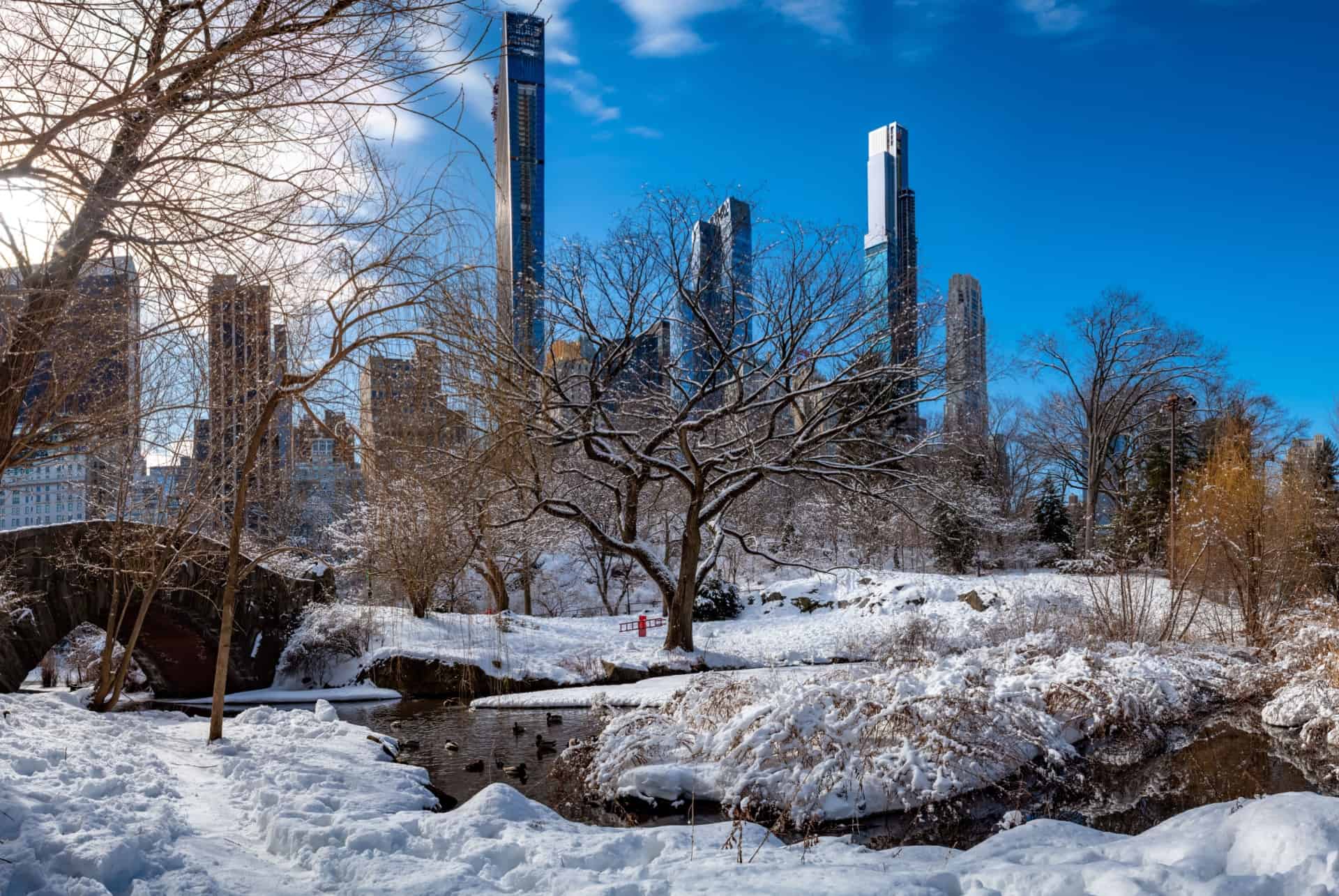 hiver a new york