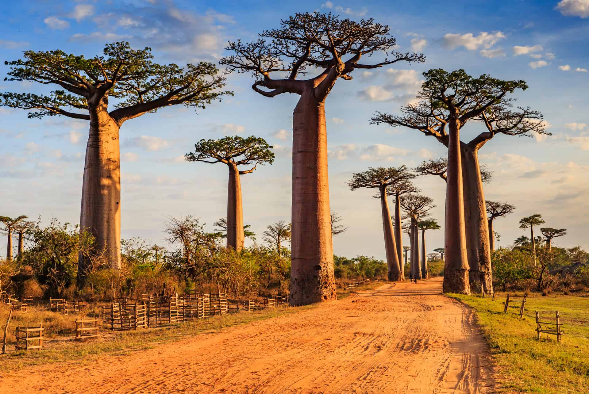 quand partir a madagascar sud