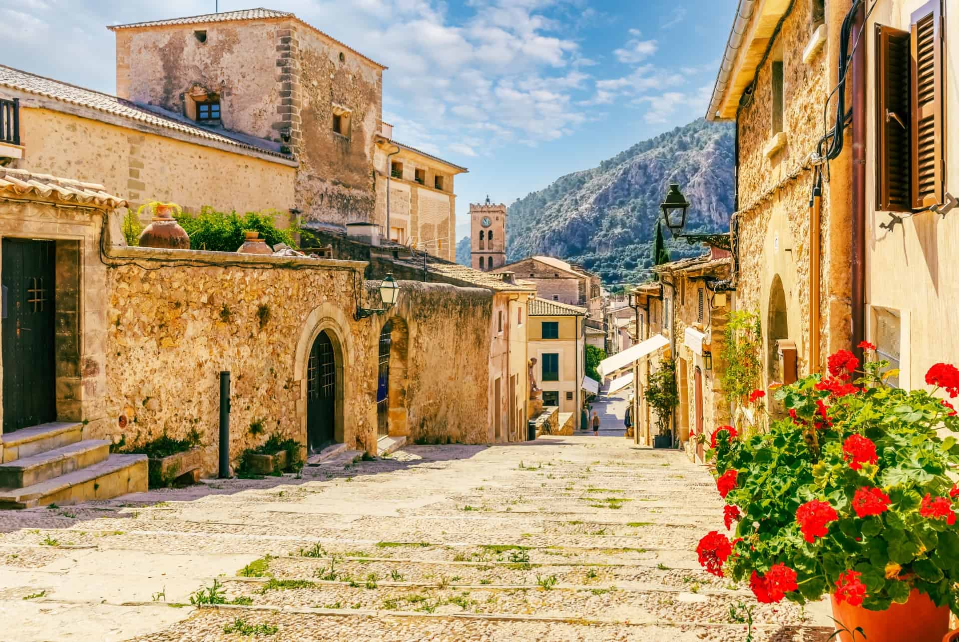 pollenca