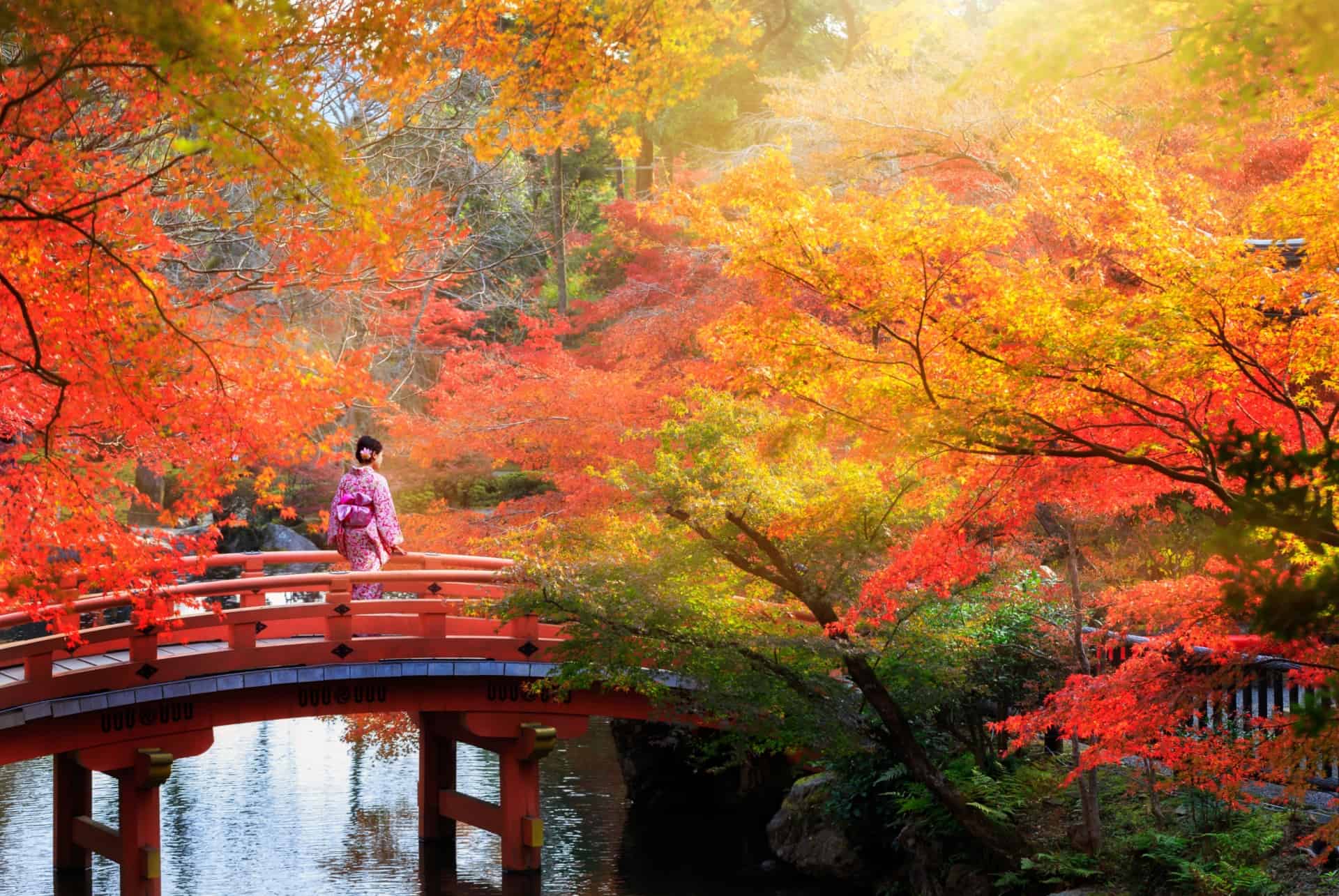 japon en automne