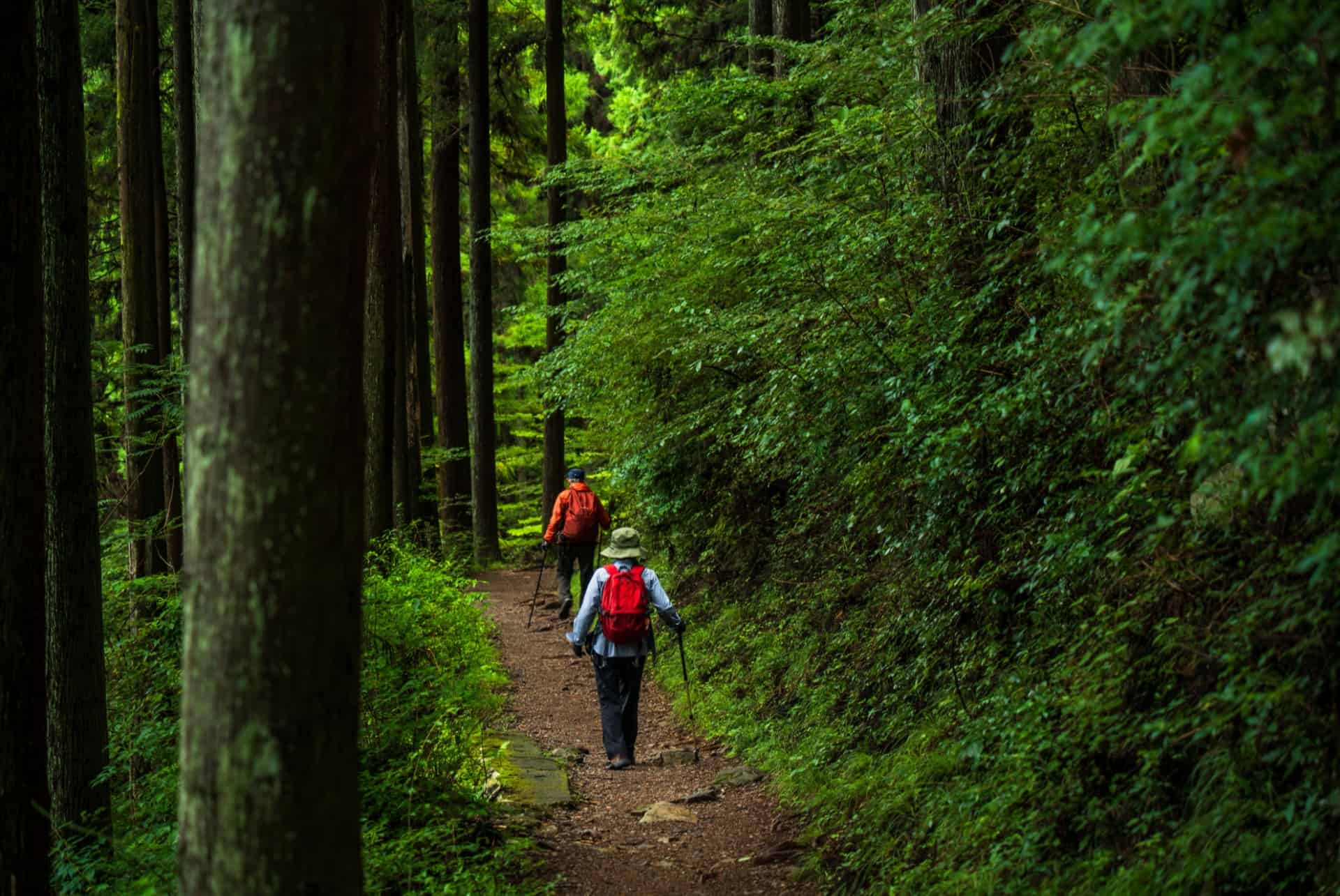 randonnee mont mitake japon