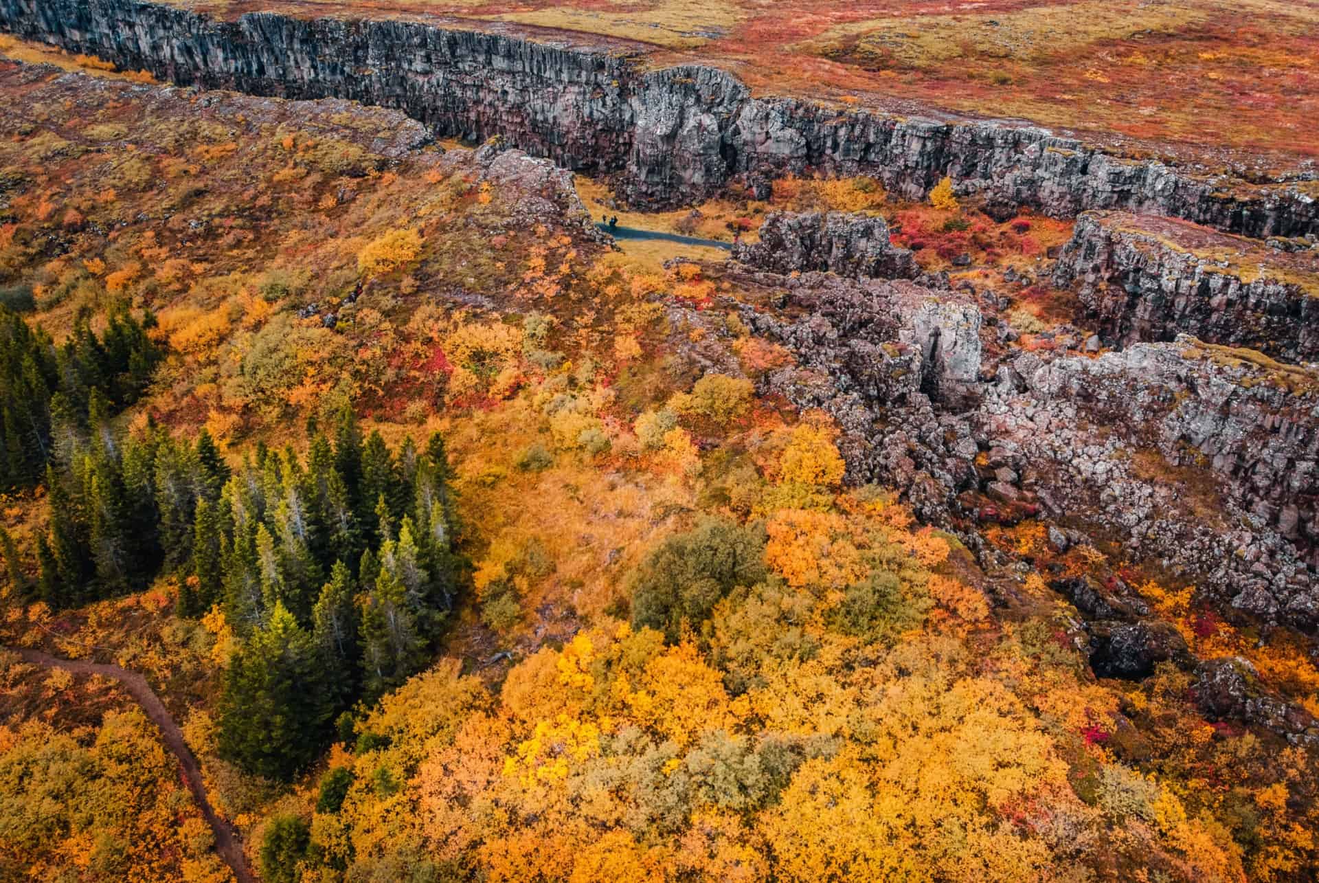 thingvellir automne