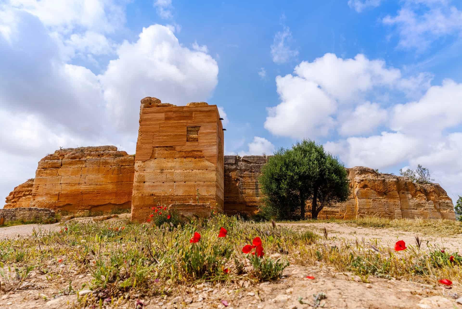 que faire a albufeira chateau de paderne