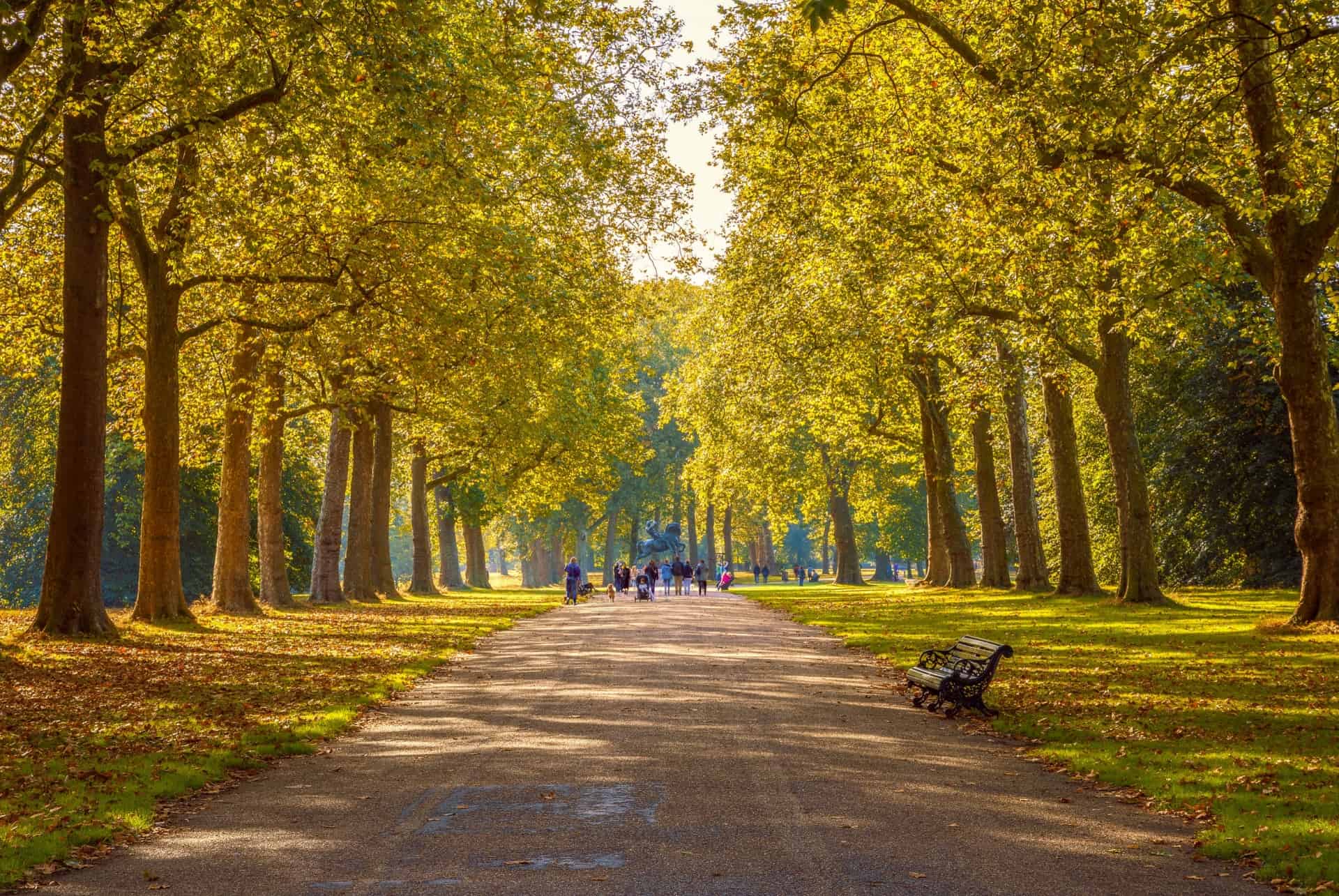 allee parc londres