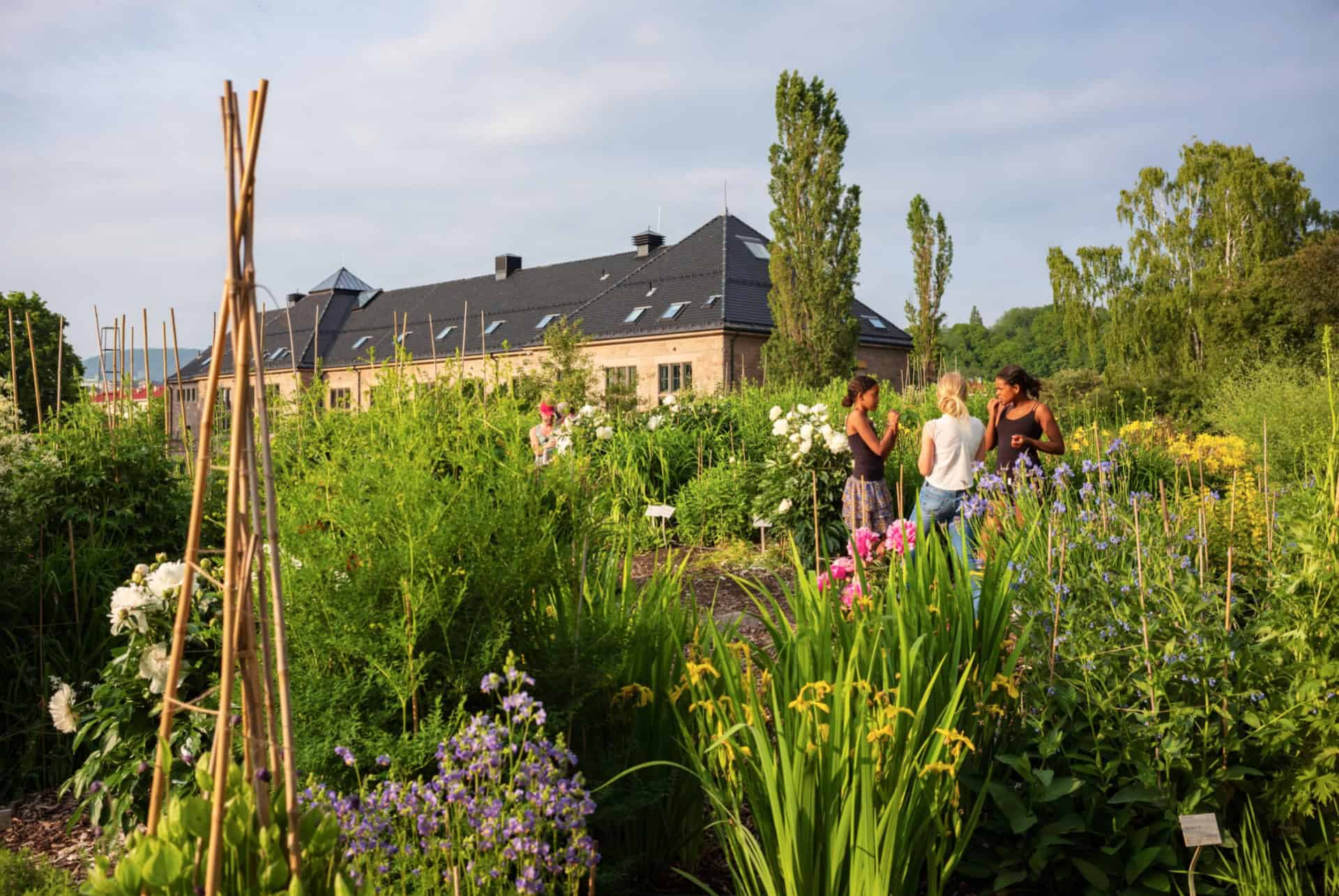 jardin botanique oslo