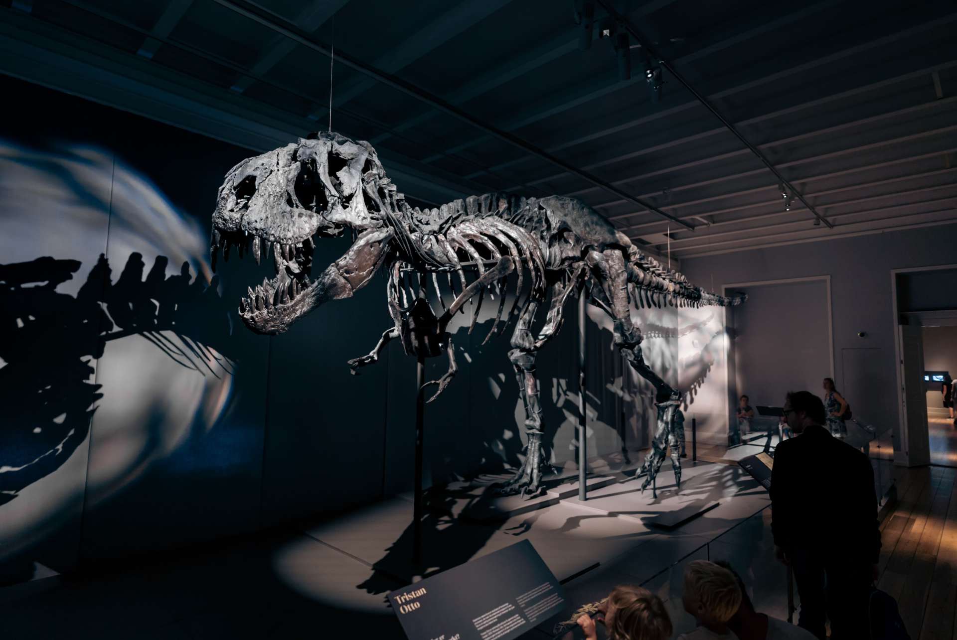 musee histoire naturelle