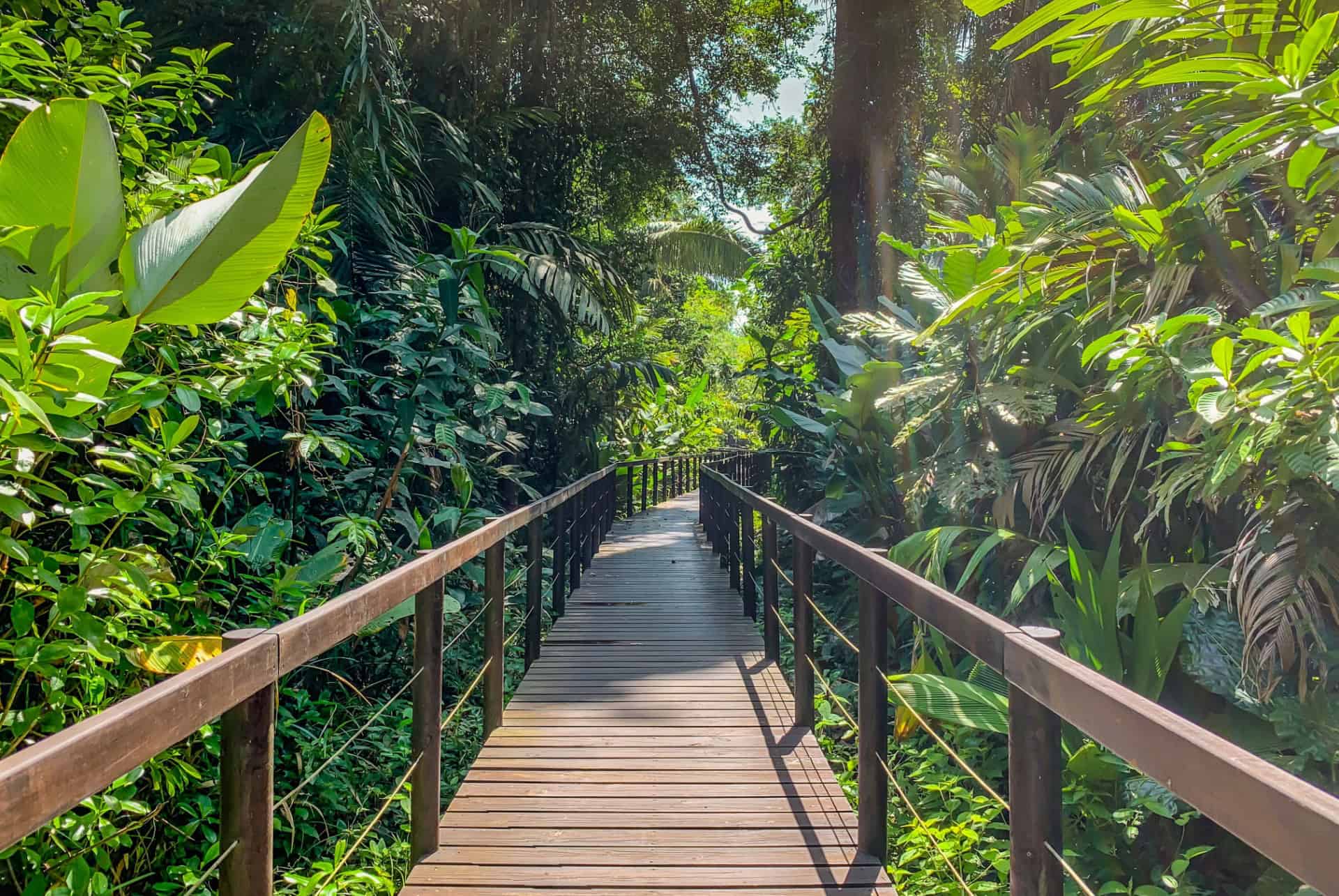 parc national cahuita