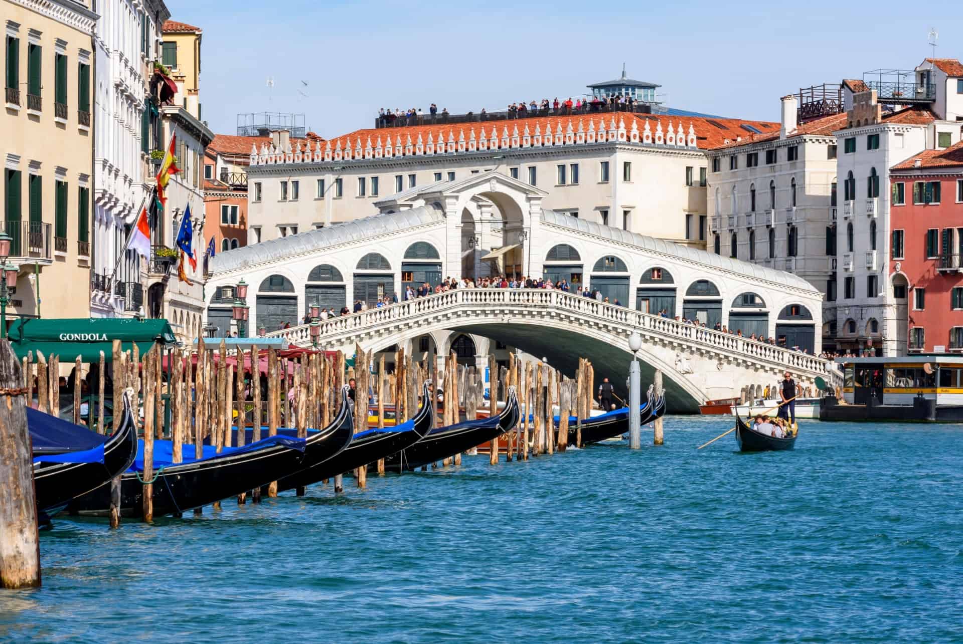 pont rialto venise en juin