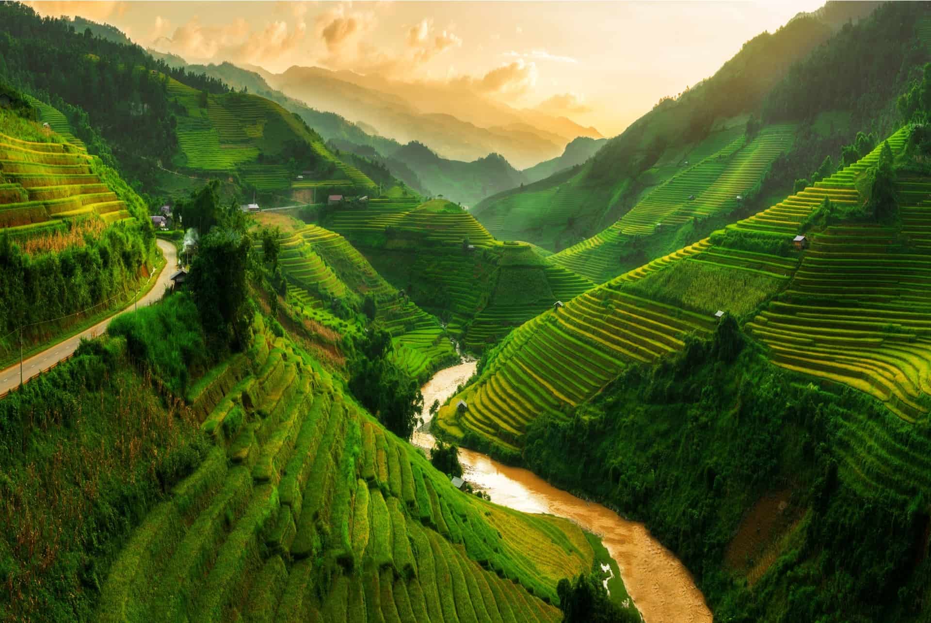 rizières de mu cang chai