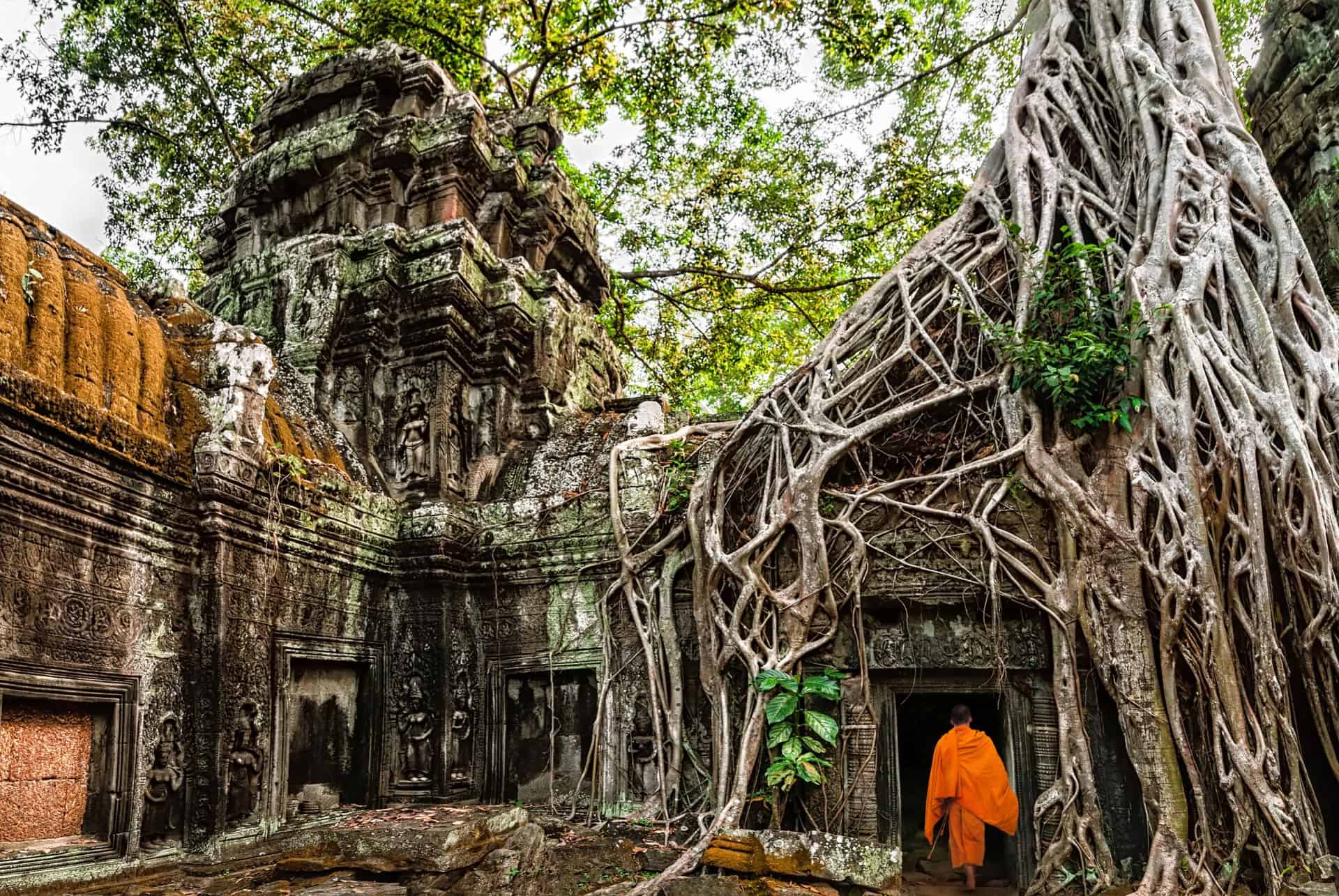 temples angkor wat