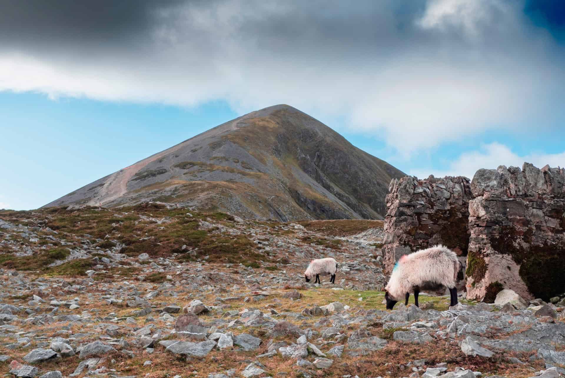 croagh patrick