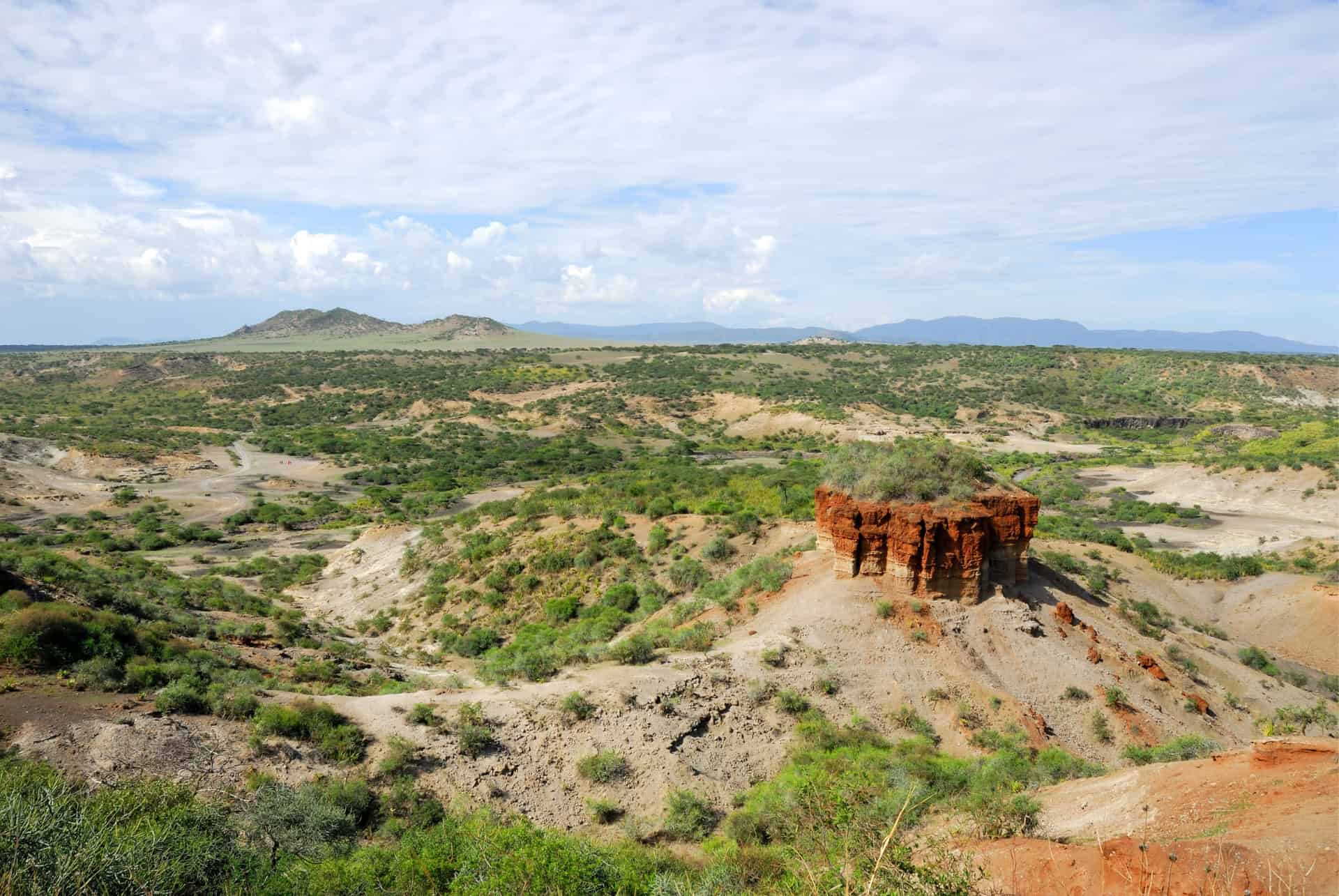 gorges olduvai tanzanie