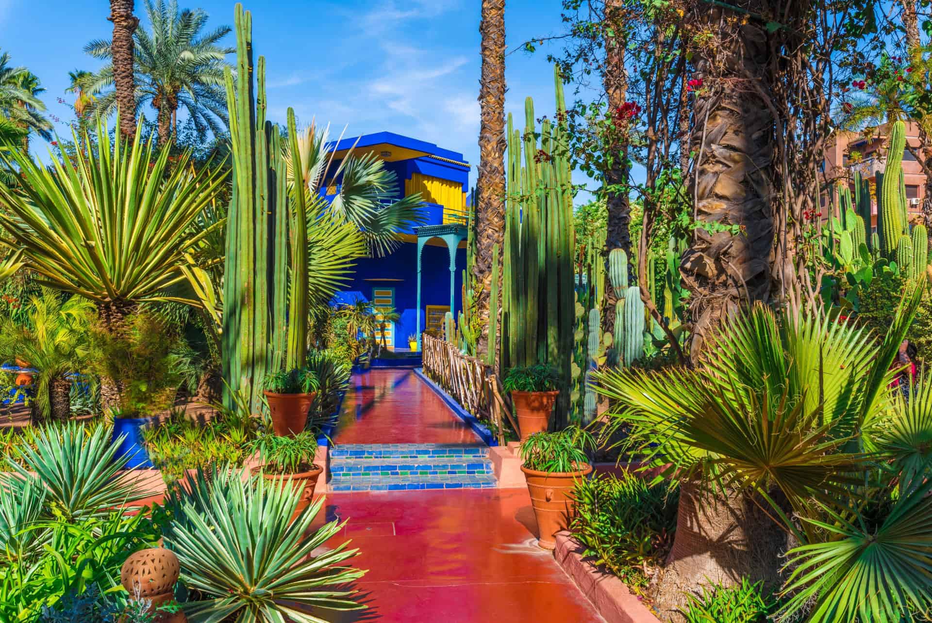 jardin de majorelle marrakech