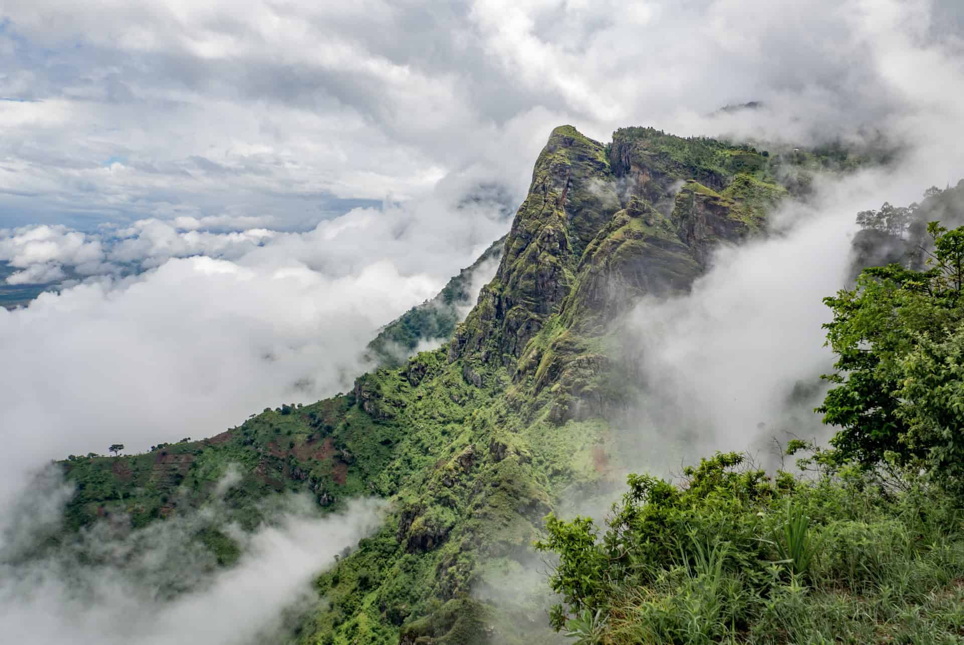 montagnes usambara en tanzanie