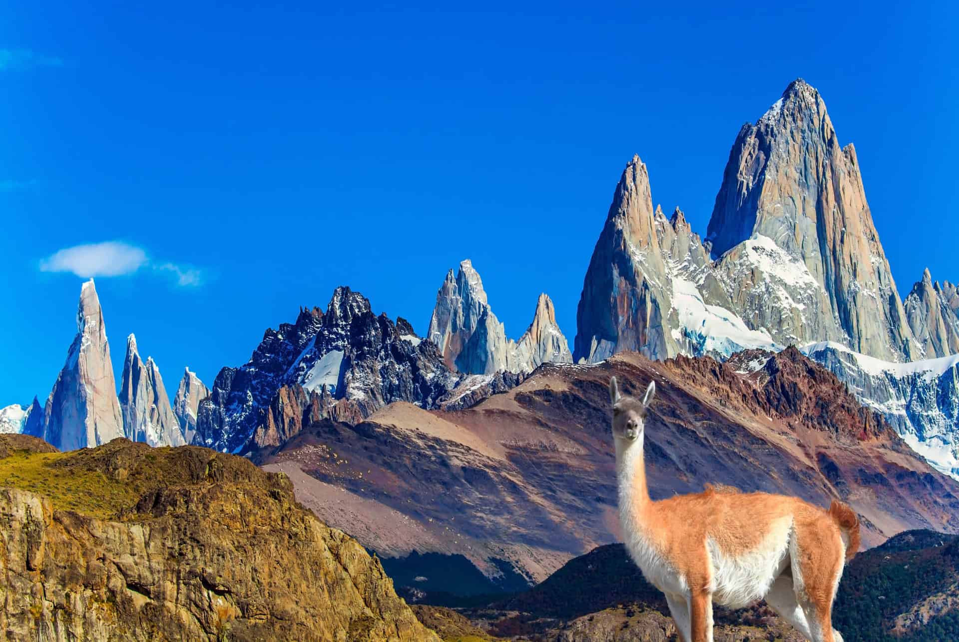 quand partir en argentine meilleure periode