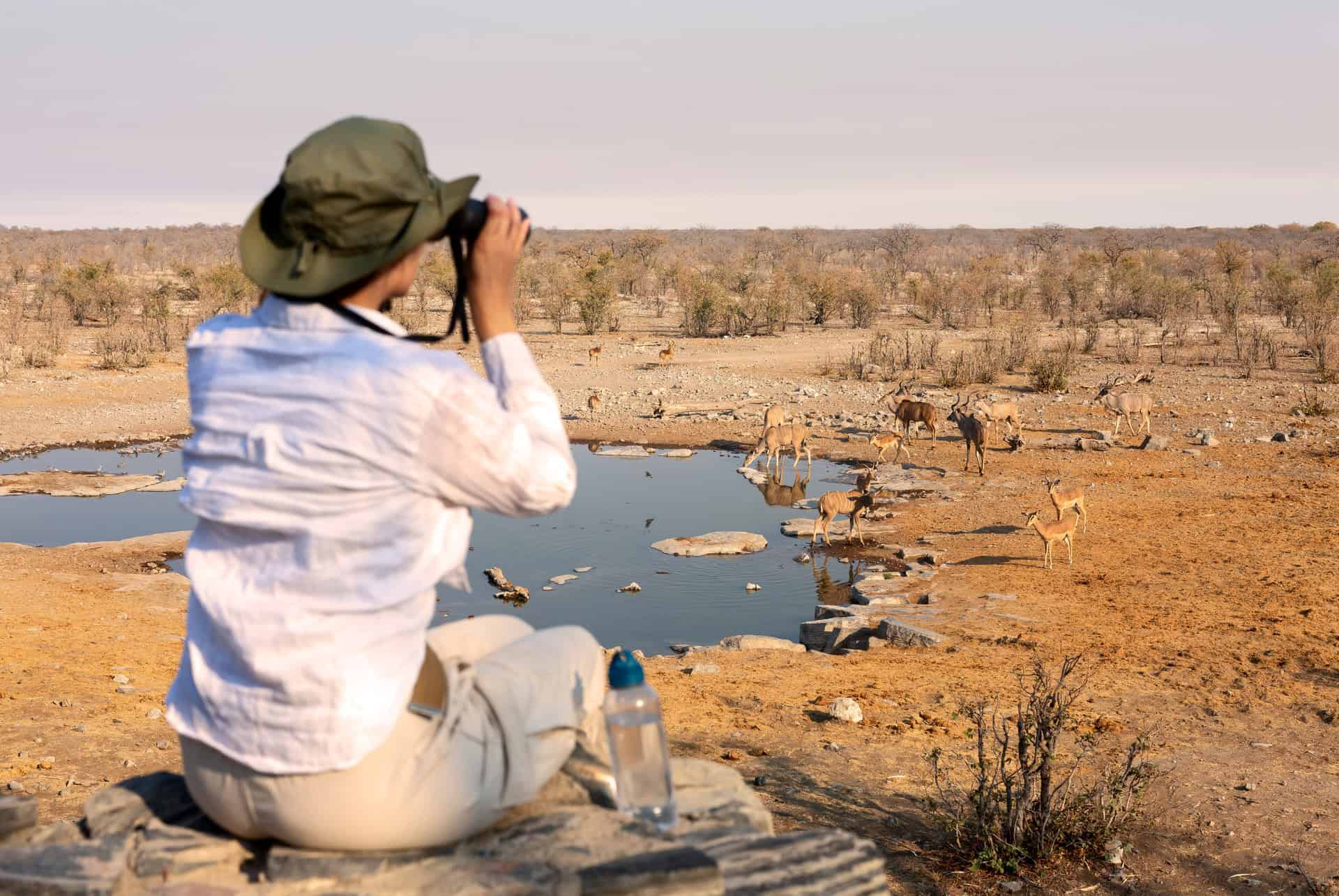 safari en tanzanie activites