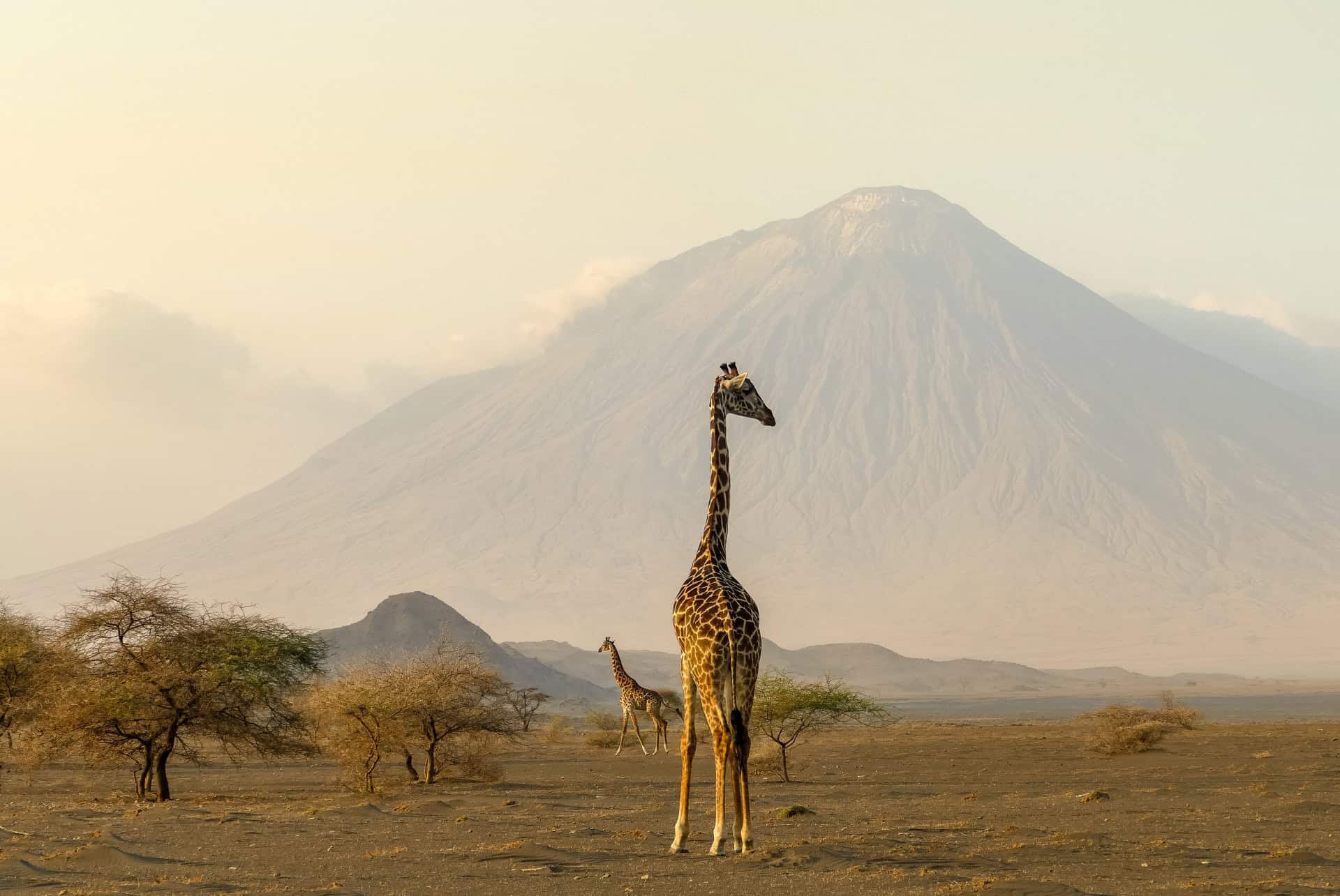 voyage en tanzanie