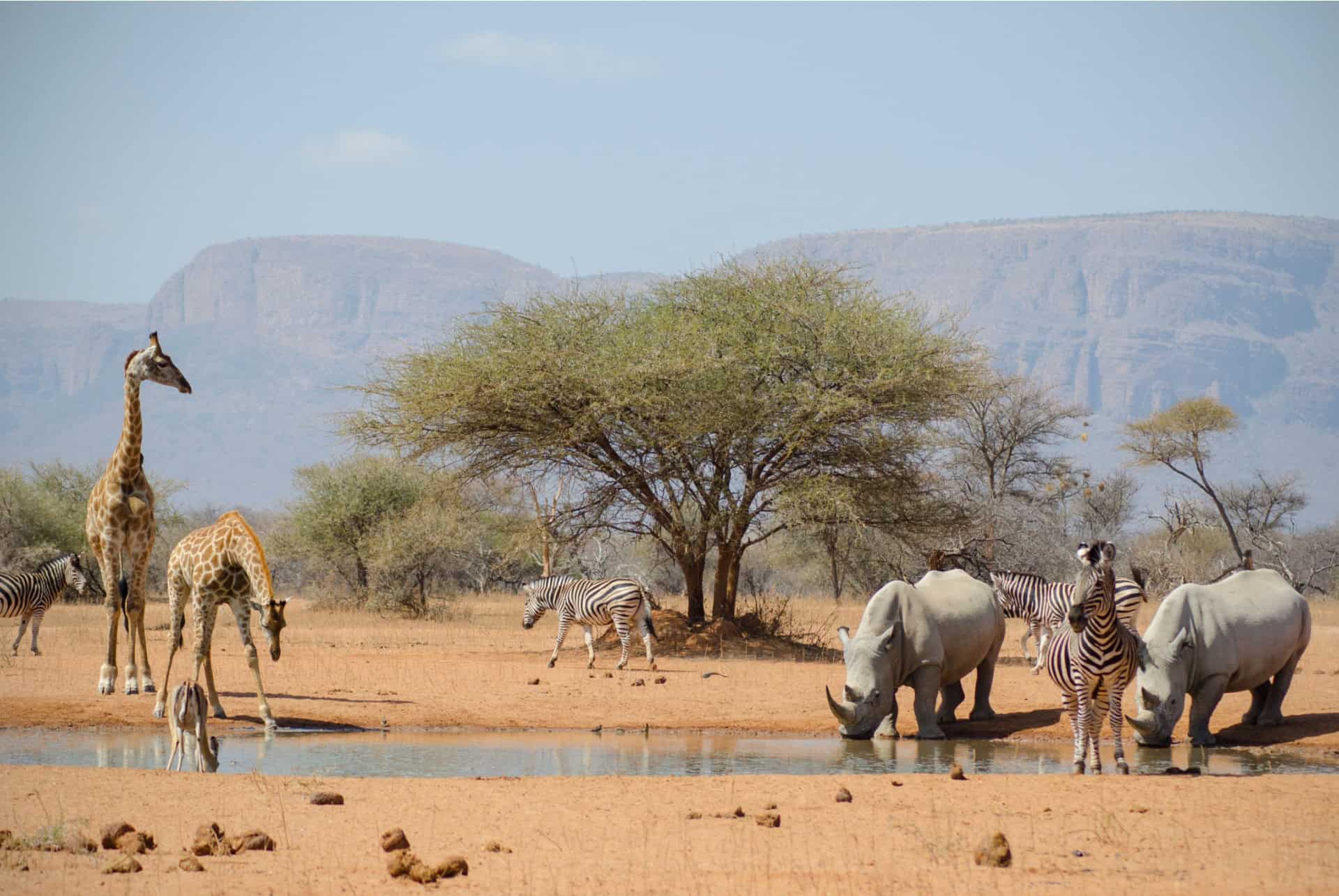 afrique du sud ou partir aout