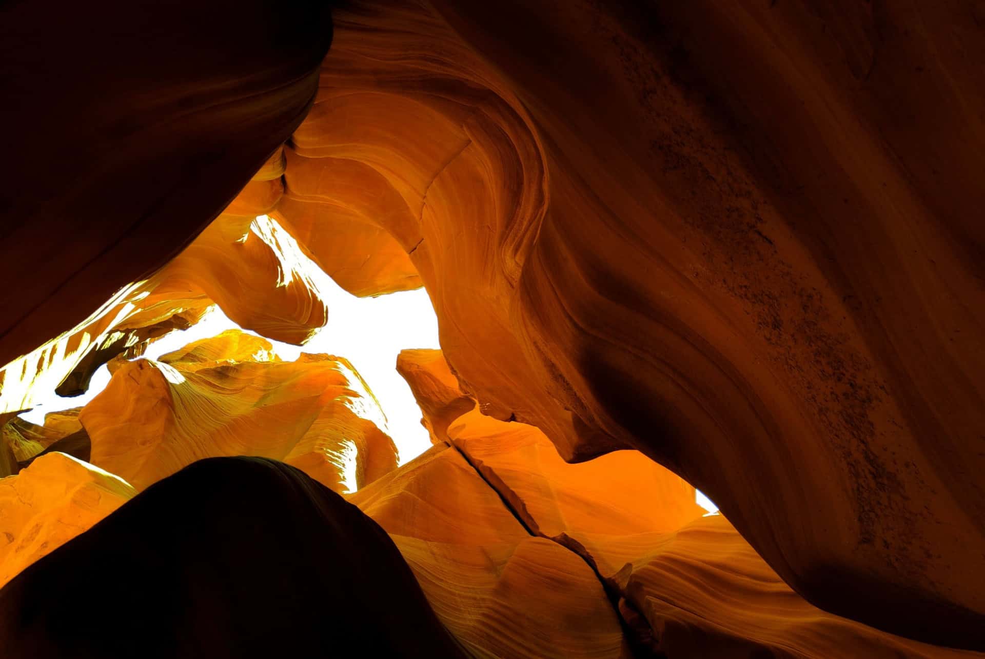 canyon x