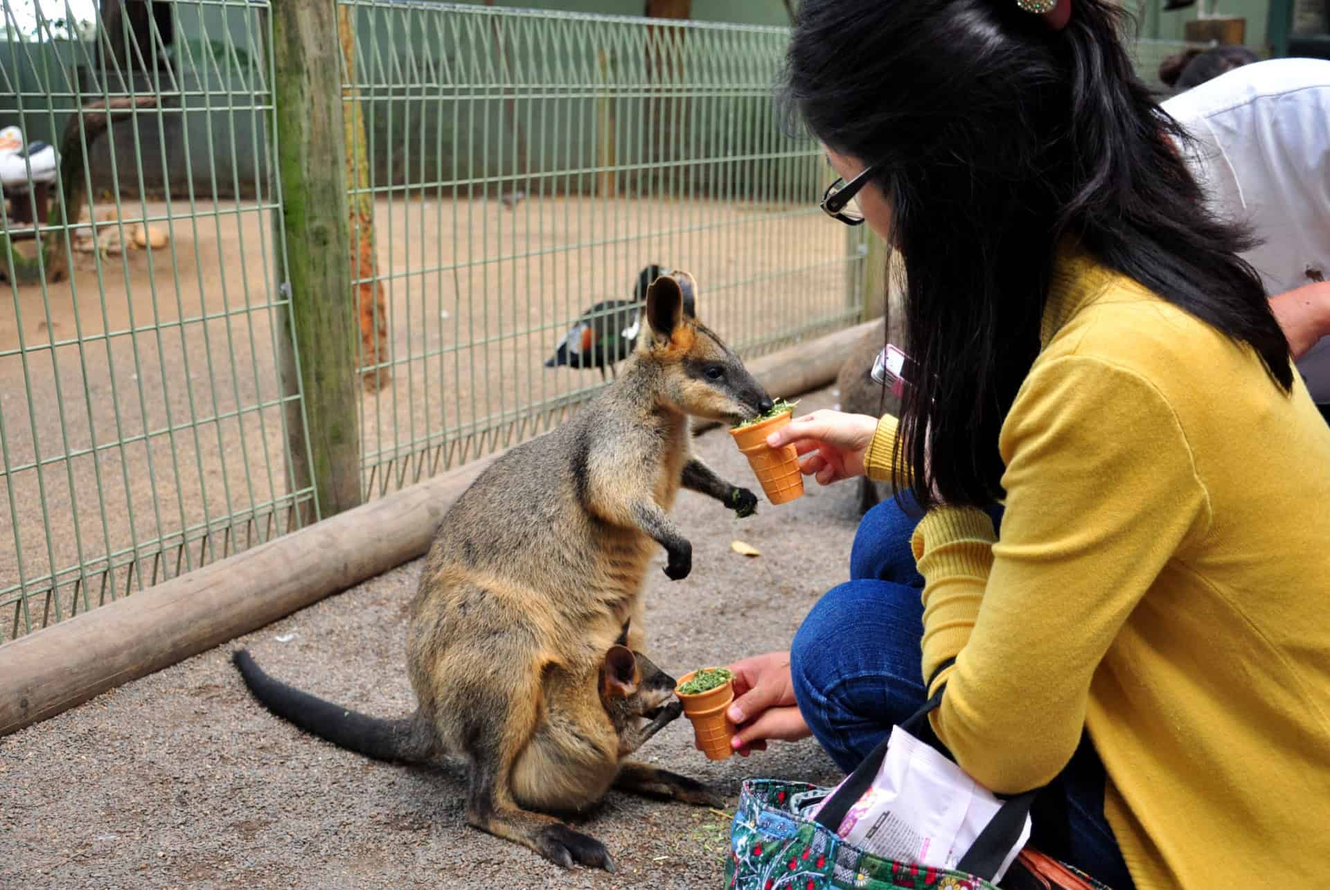 featherdale wildlife park