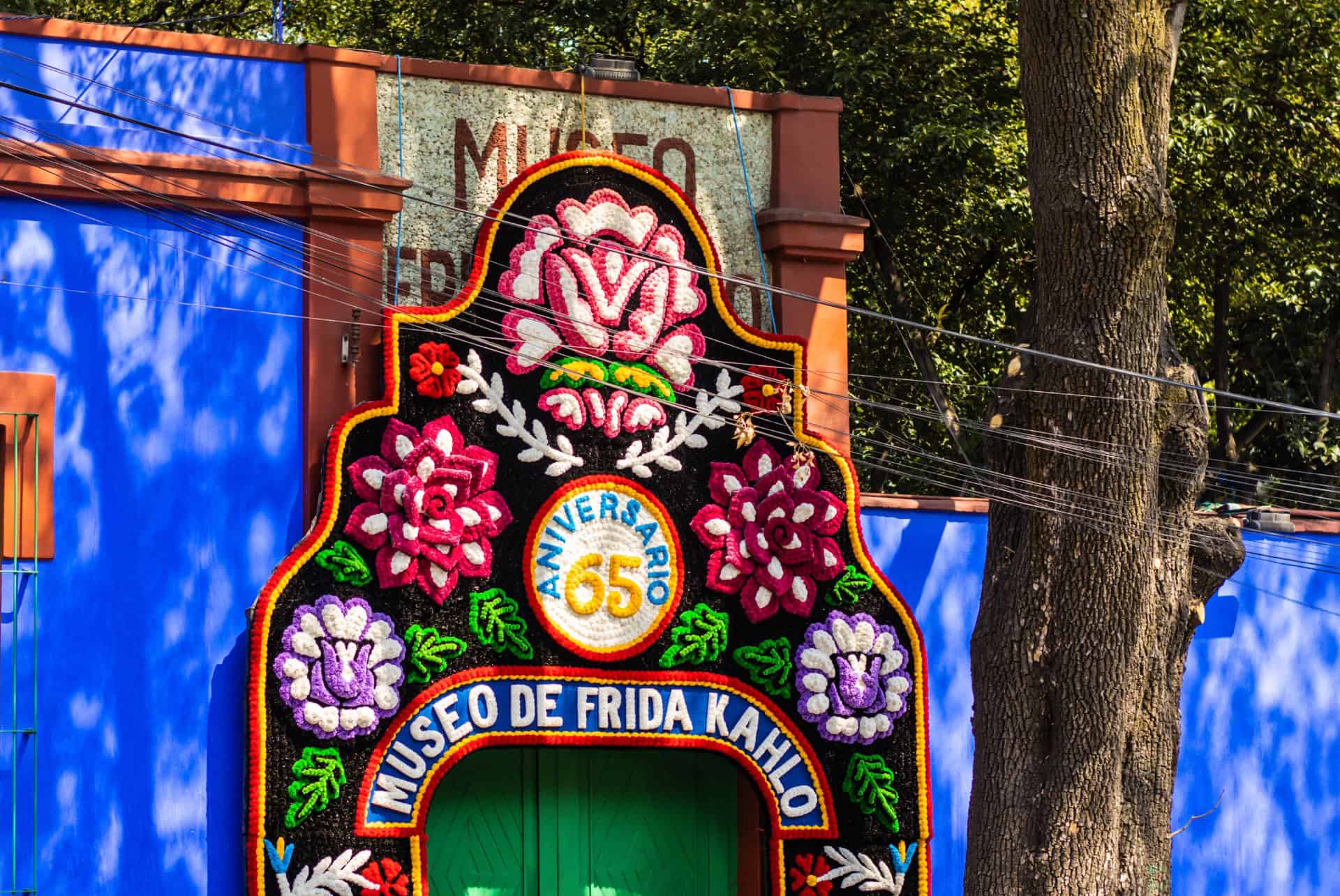 musee frida kahlo entree